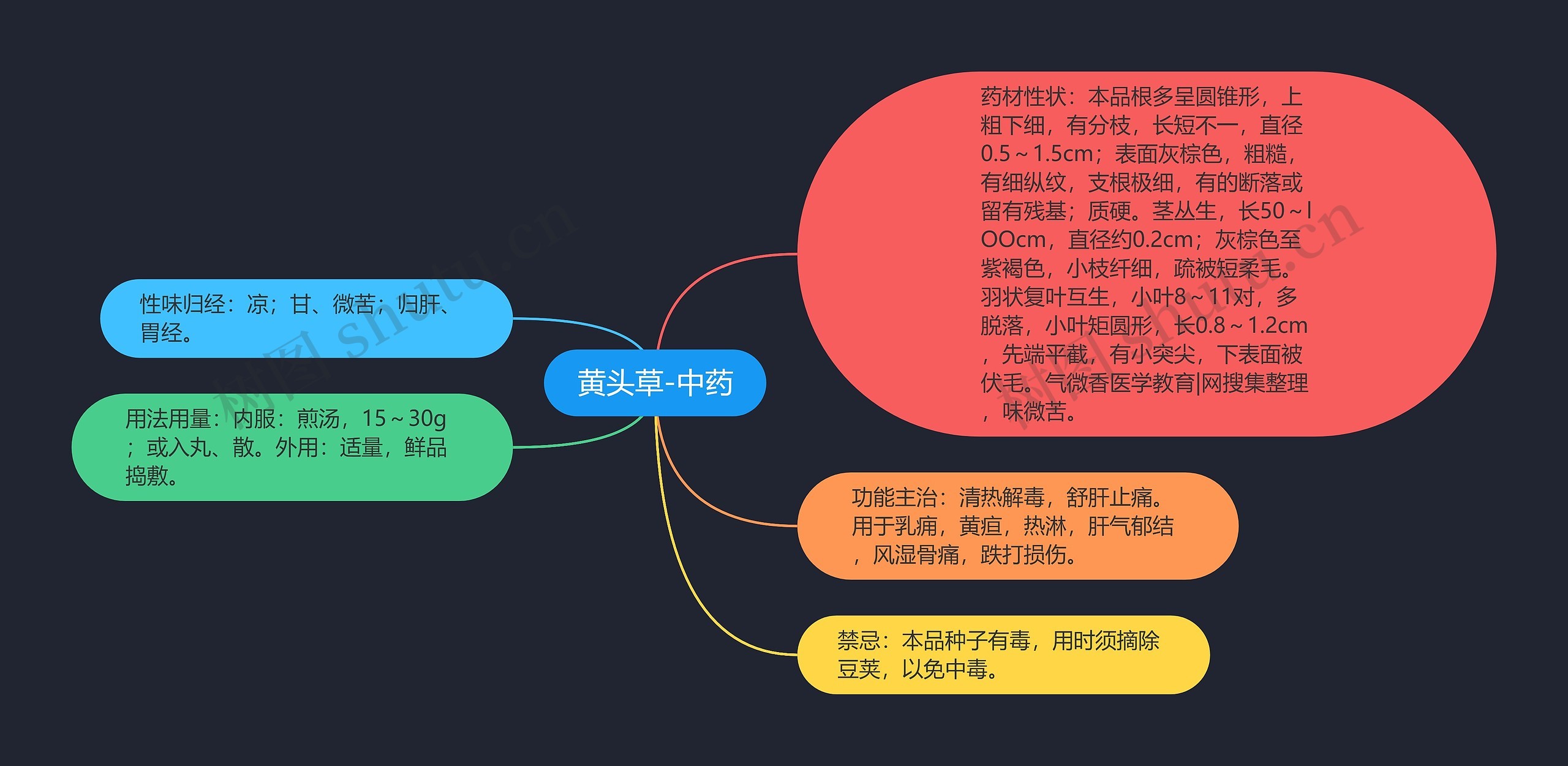 黄头草-中药思维导图