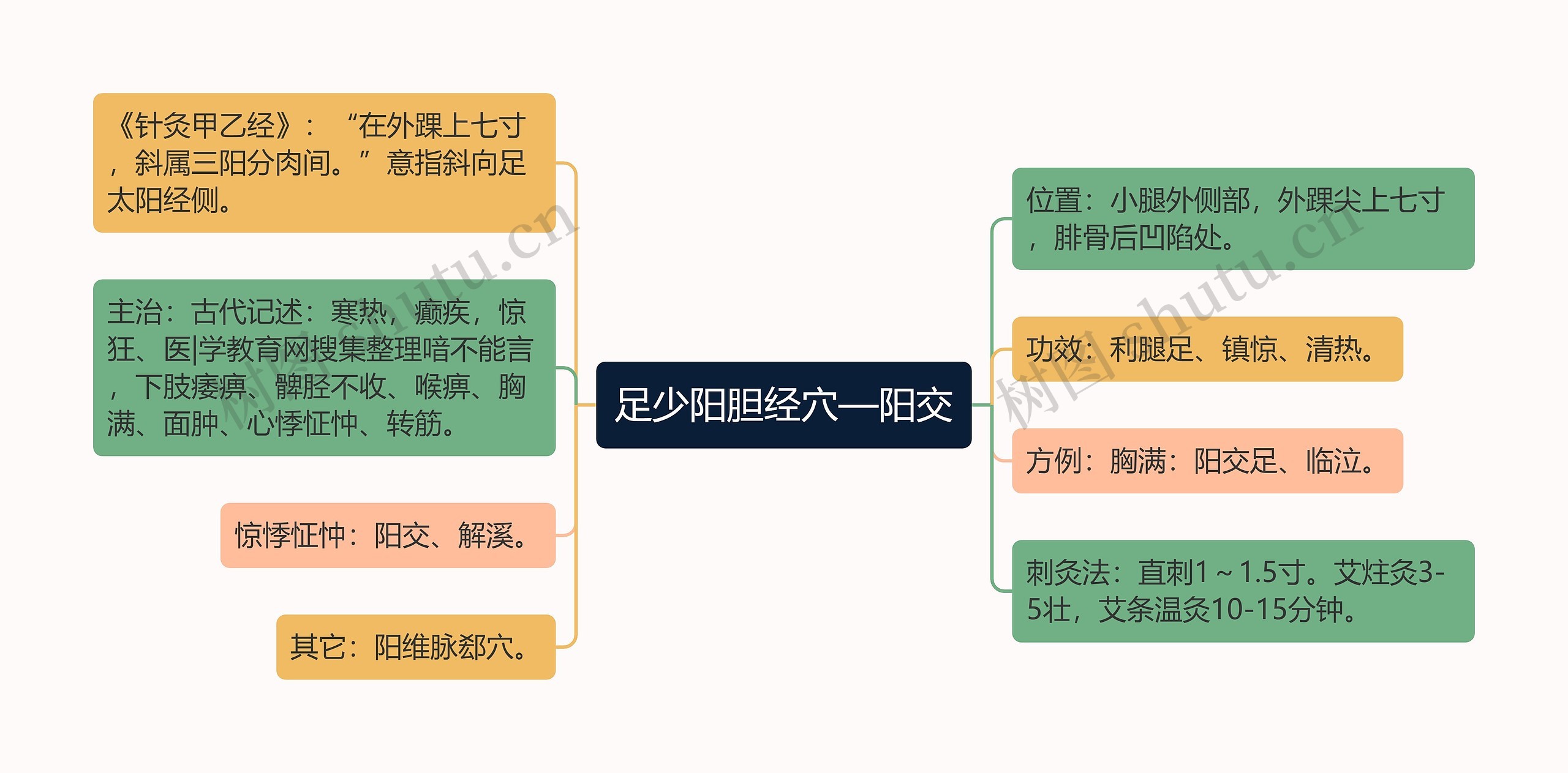 足少阳胆经穴—阳交