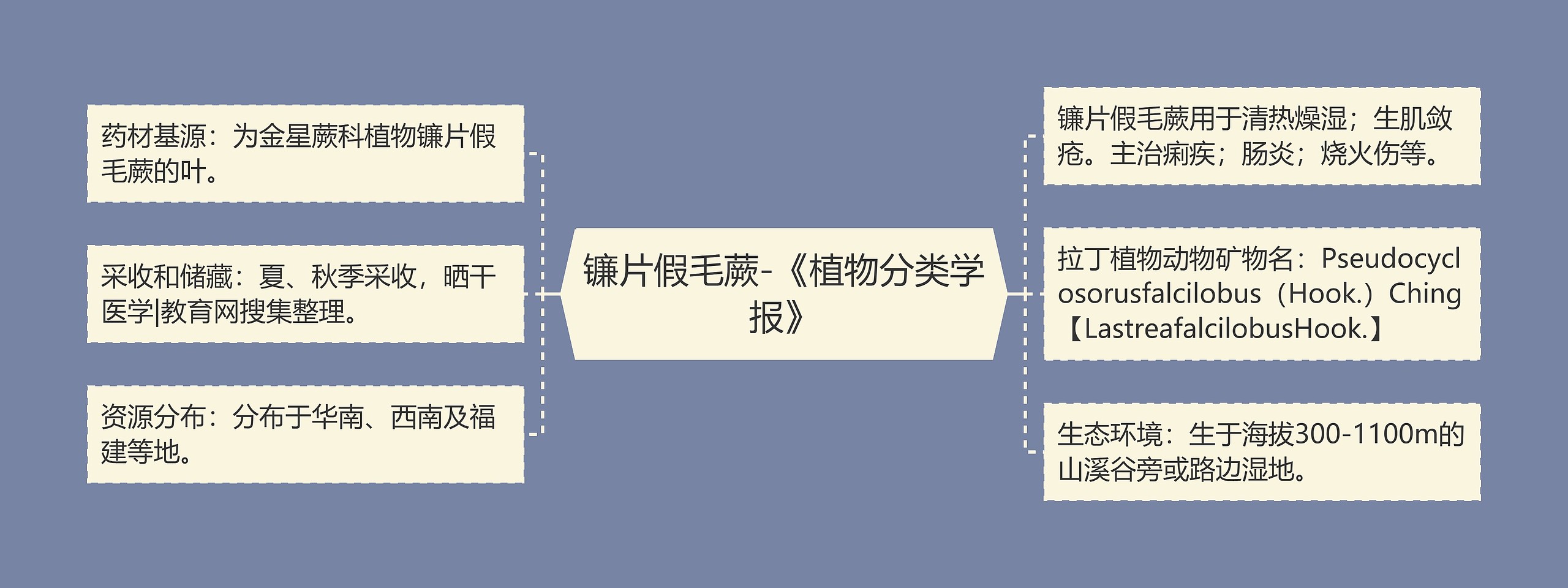 镰片假毛蕨-《植物分类学报》