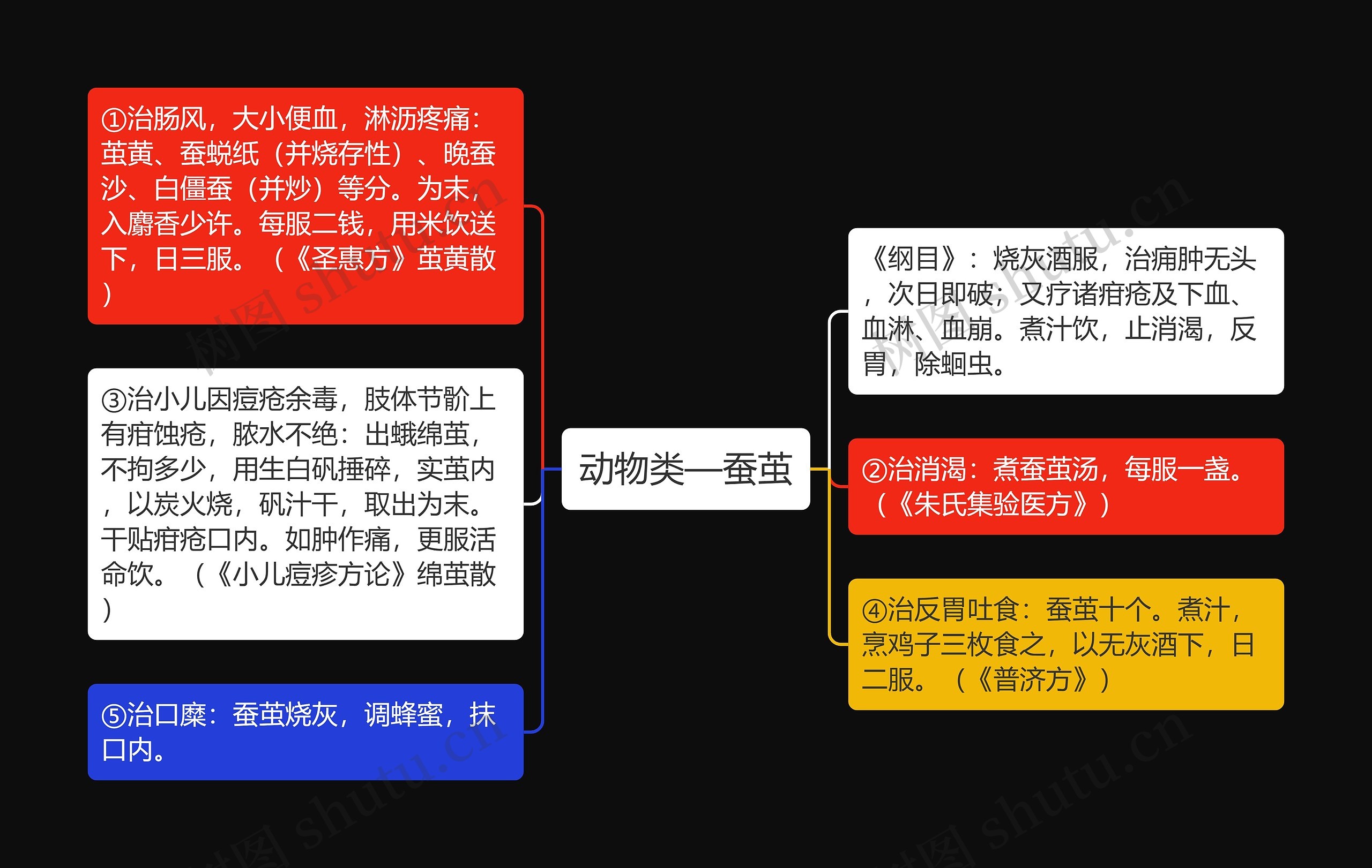 动物类—蚕茧思维导图