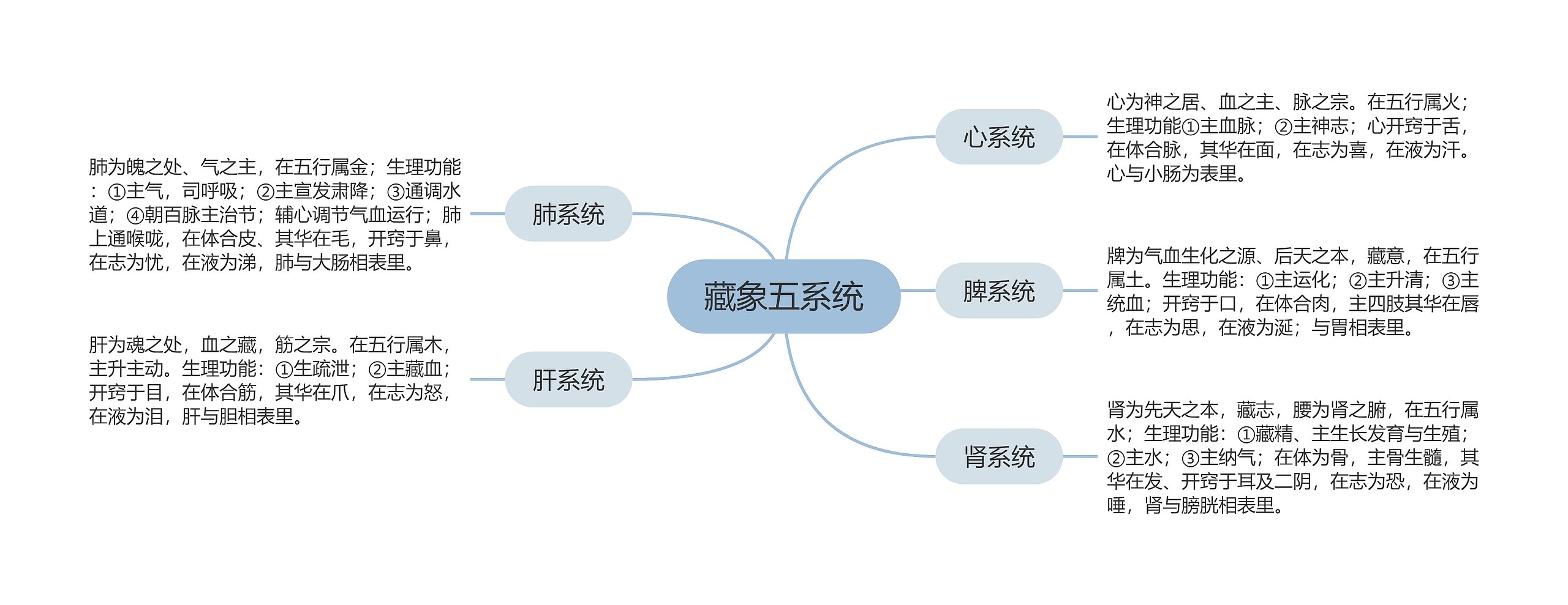 藏象五系统思维导图