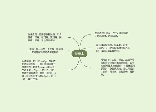 接骨木