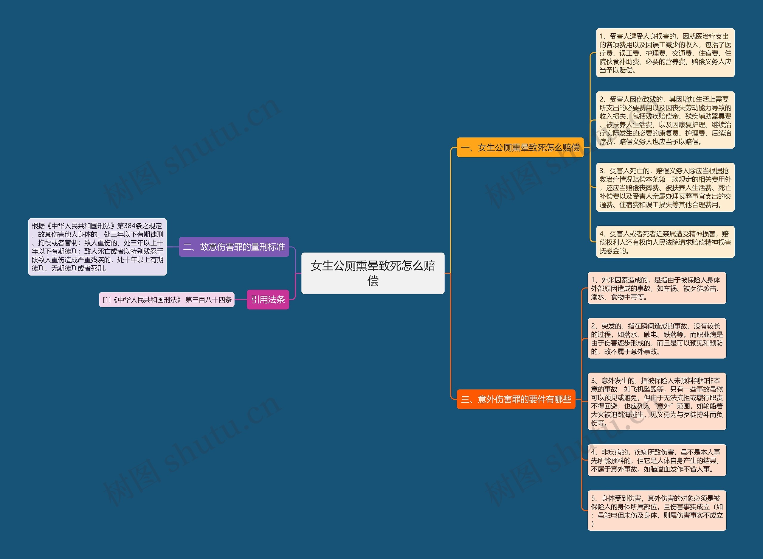 女生公厕熏晕致死怎么赔偿思维导图