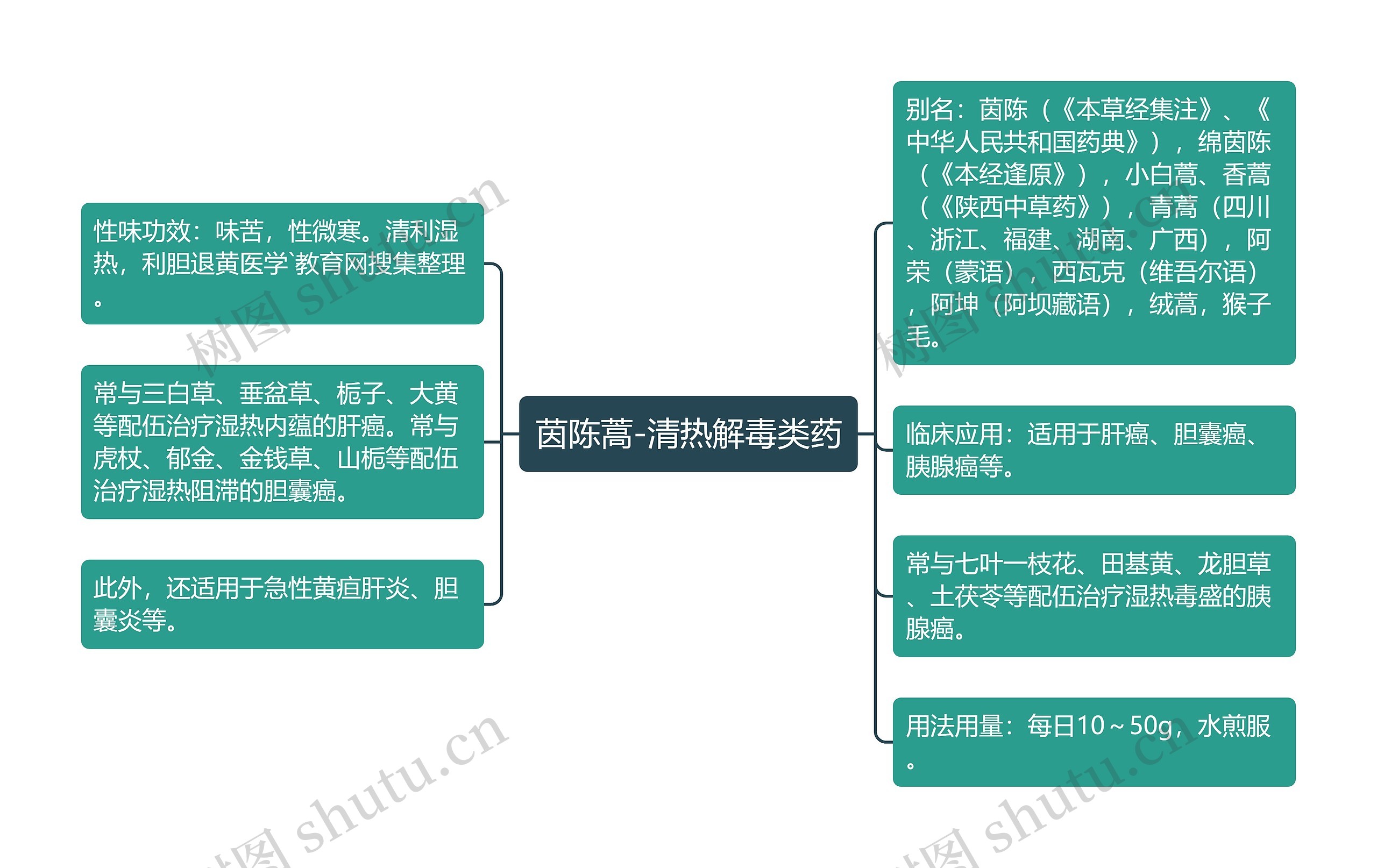 茵陈蒿-清热解毒类药思维导图