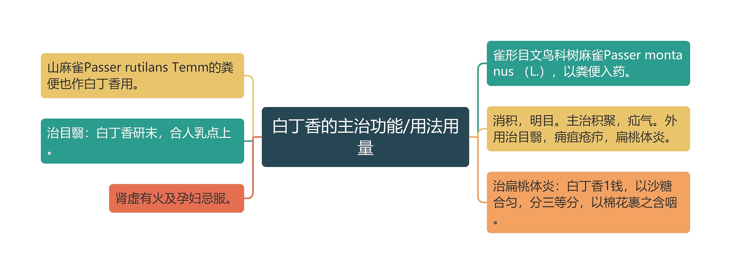 白丁香的主治功能/用法用量思维导图