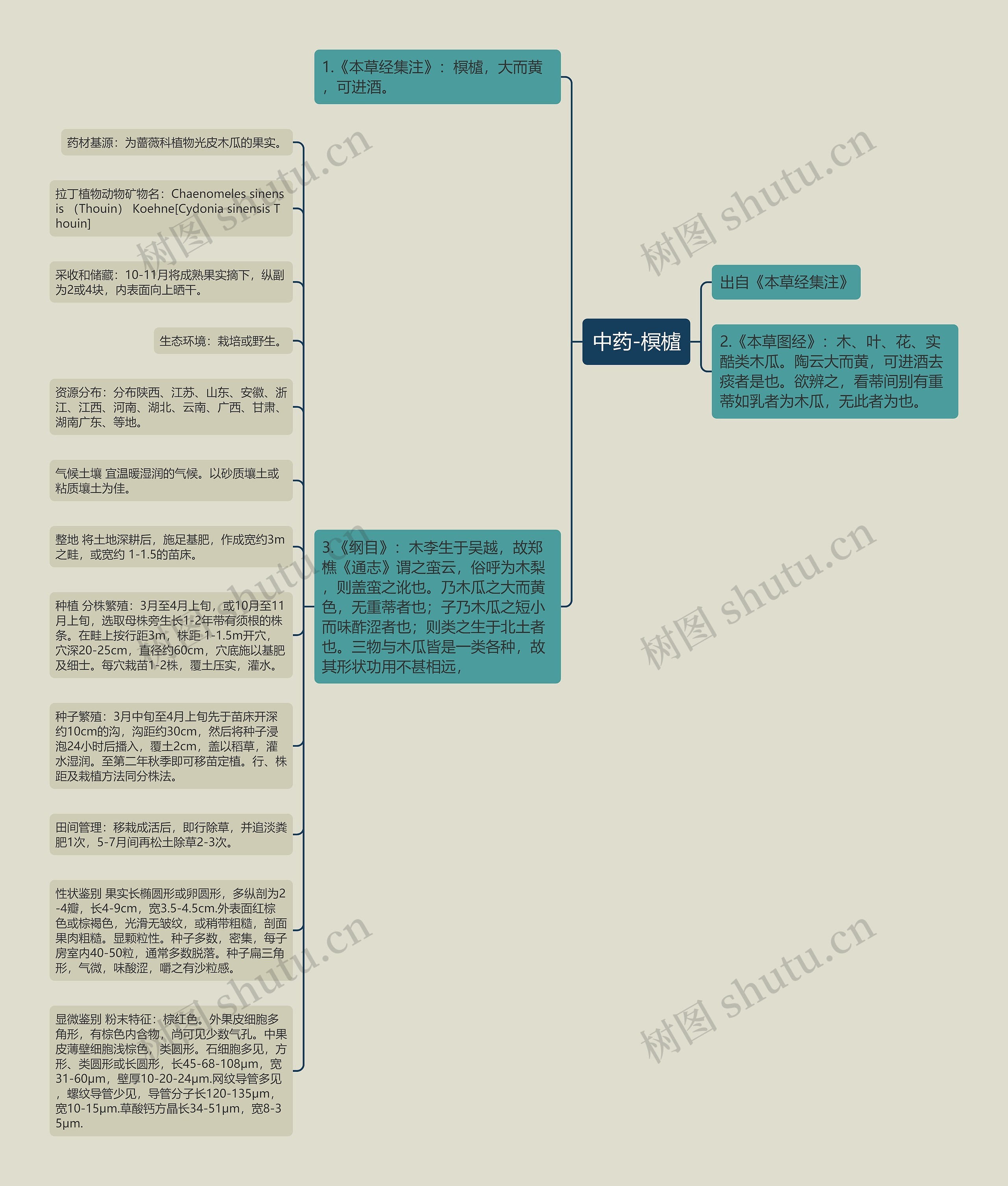 中药-榠樝思维导图