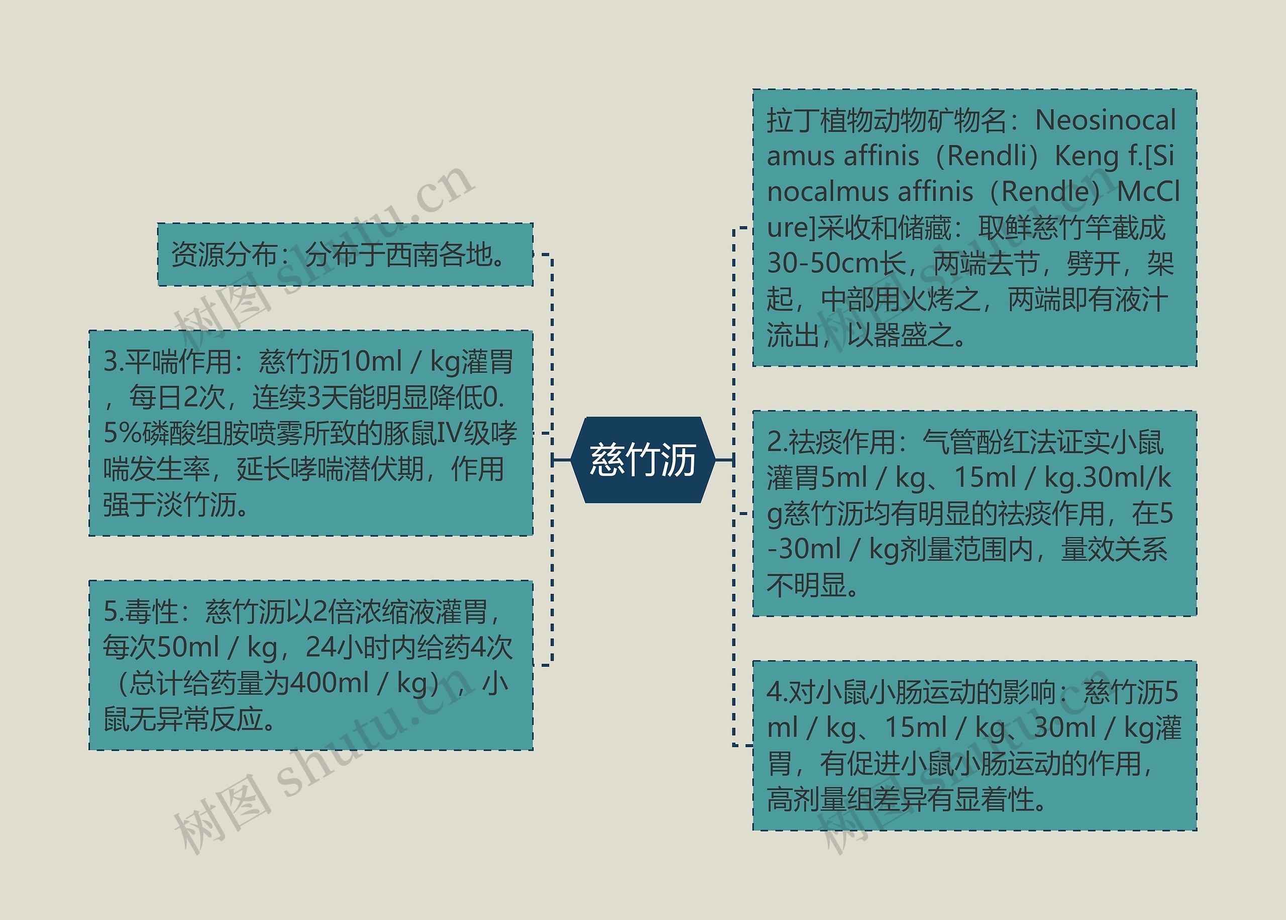 慈竹沥思维导图