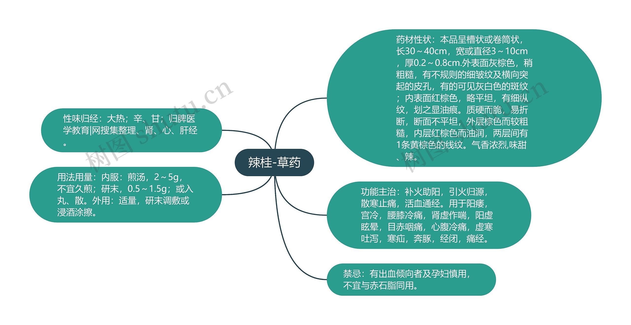 辣桂-草药思维导图