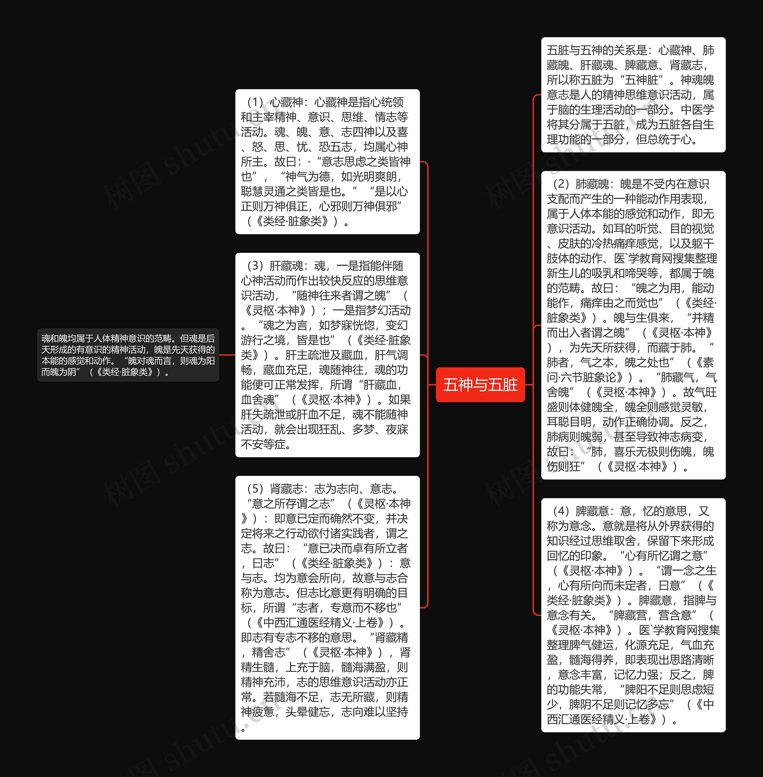 五神与五脏思维导图