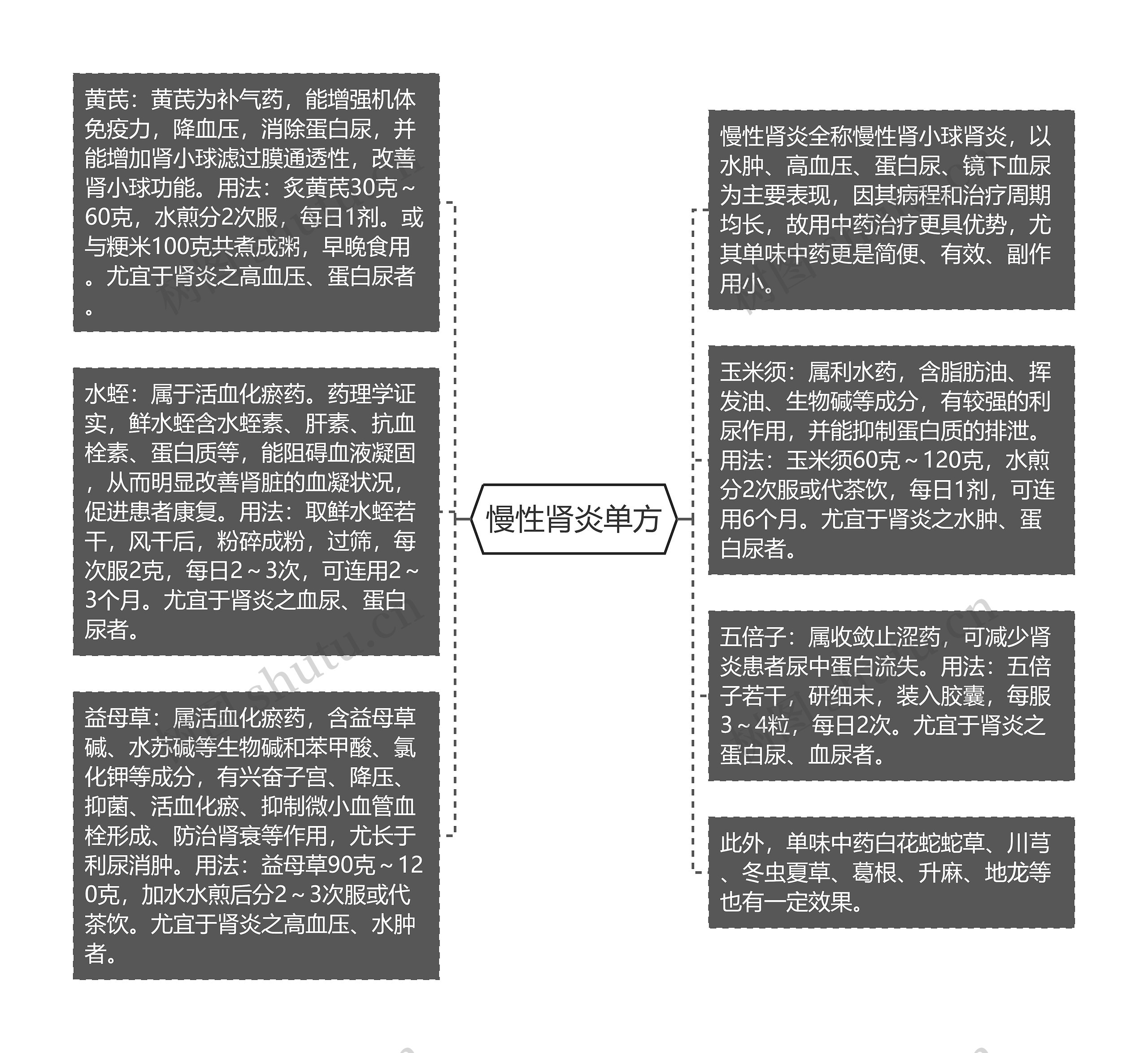 慢性肾炎单方思维导图