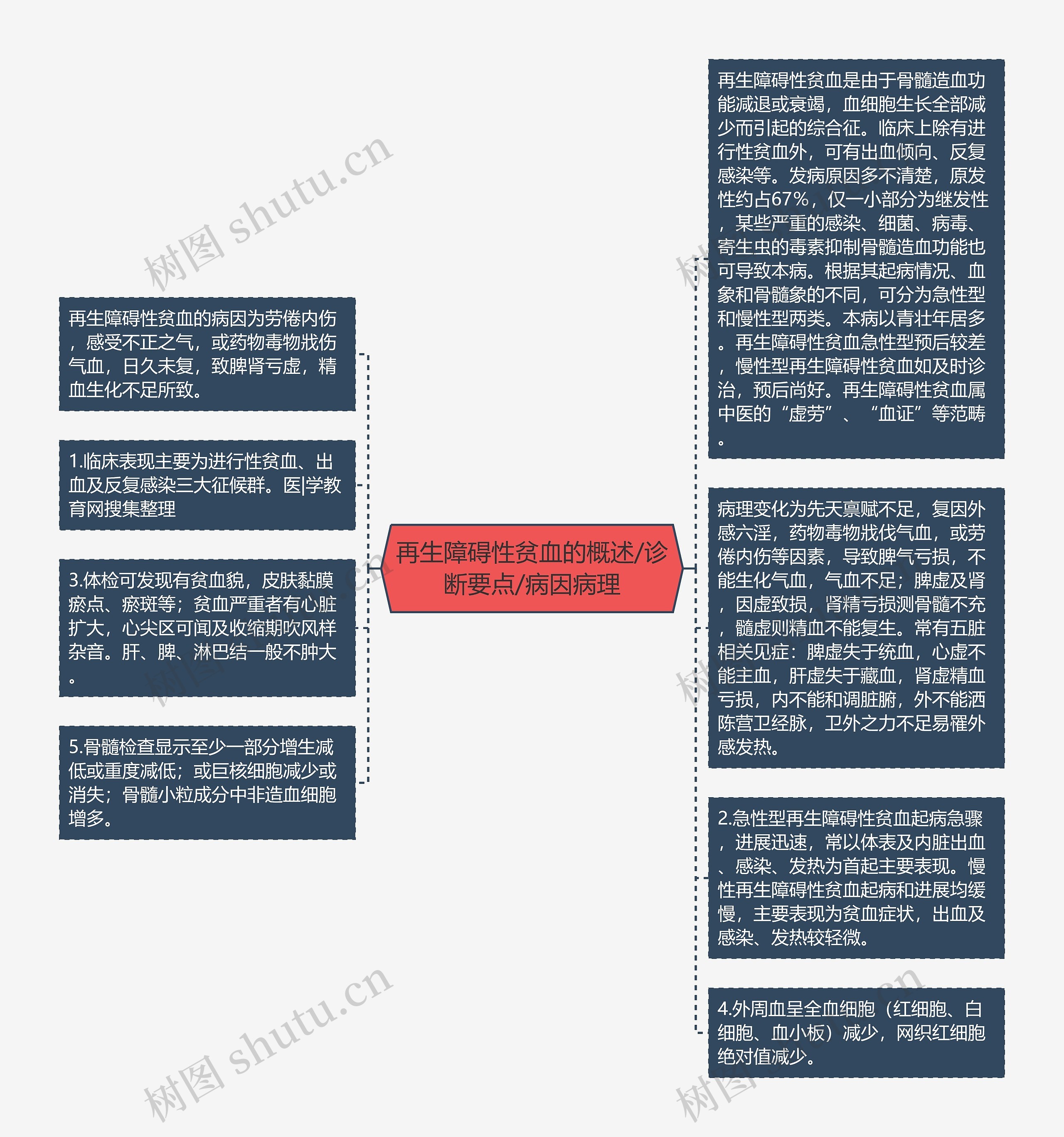 再生障碍性贫血的概述/诊断要点/病因病理思维导图