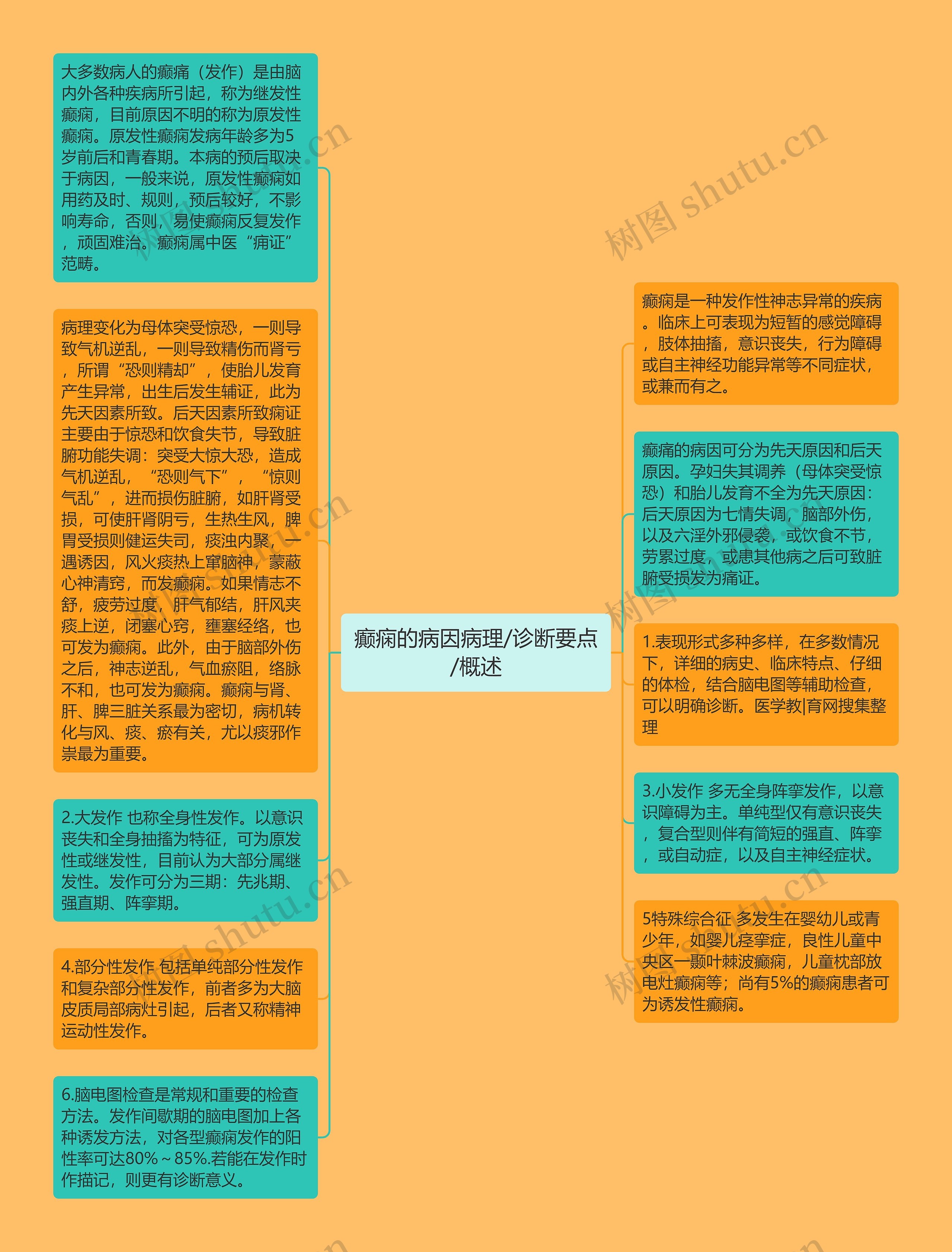 癫痫的病因病理/诊断要点/概述