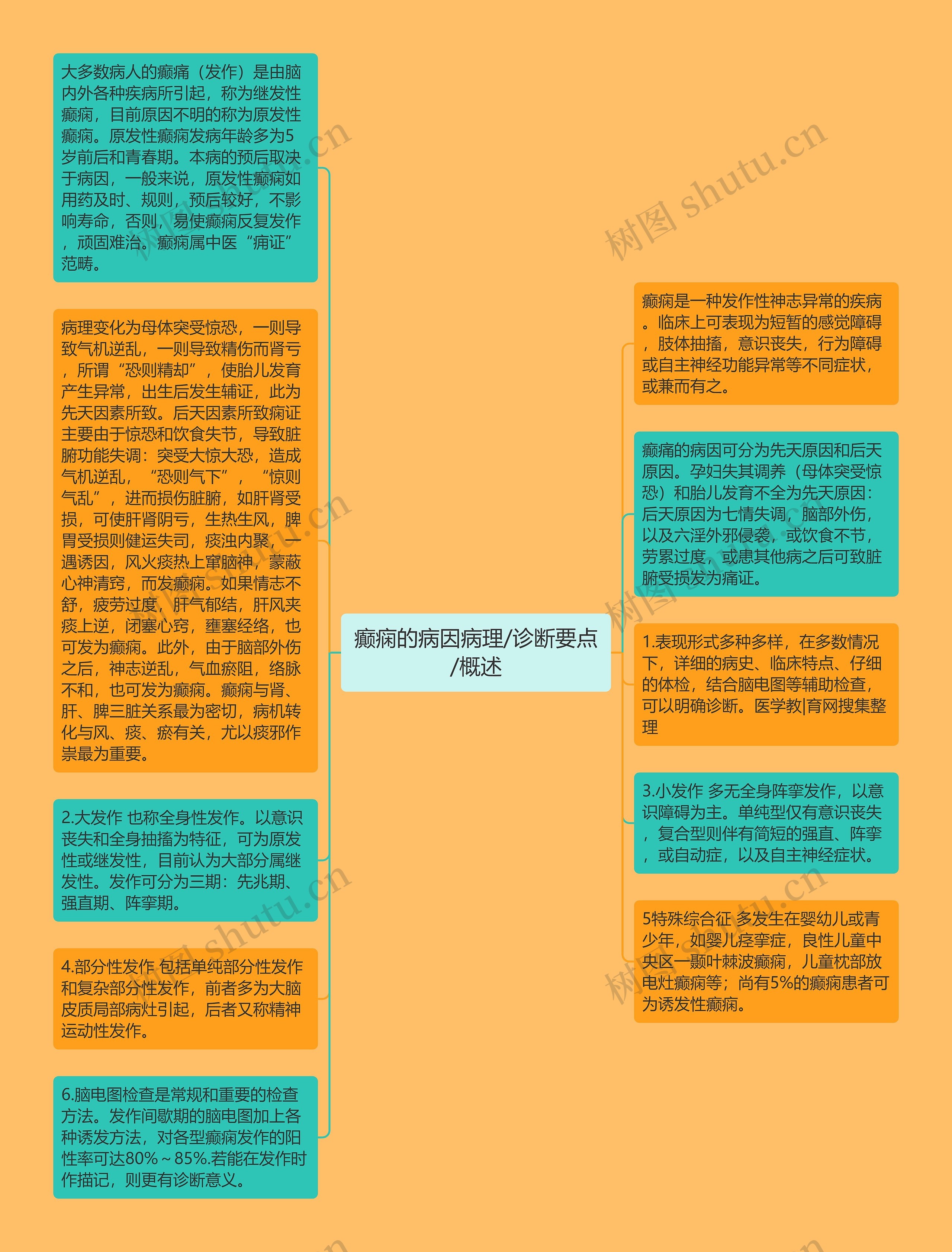 癫痫的病因病理/诊断要点/概述思维导图