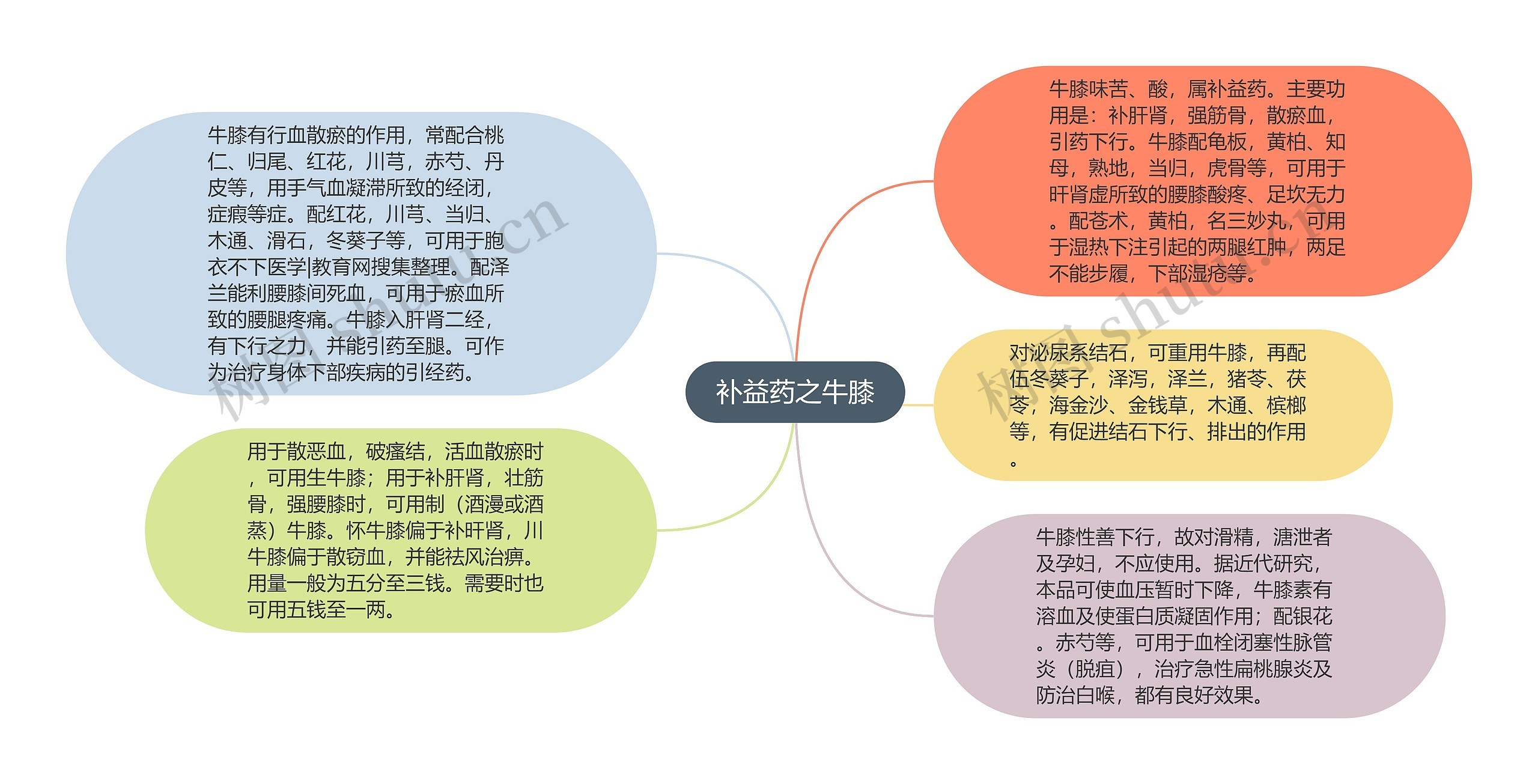 补益药之牛膝思维导图