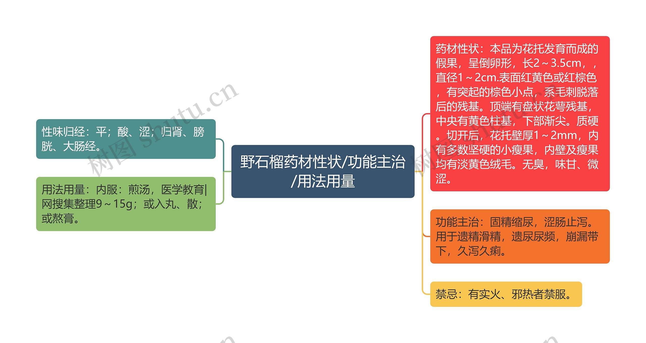 野石榴药材性状/功能主治/用法用量思维导图