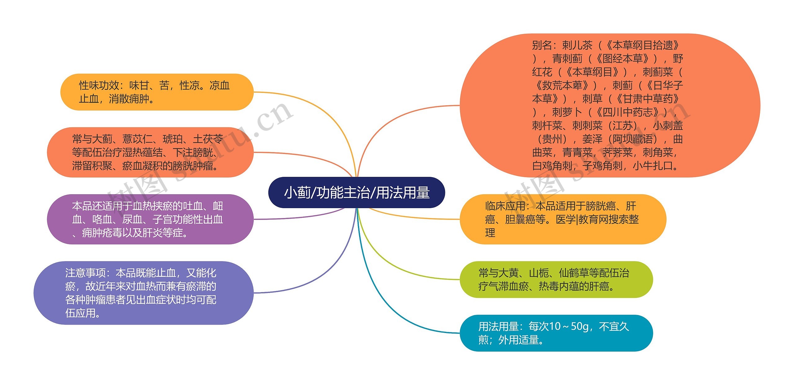 小蓟/功能主治/用法用量