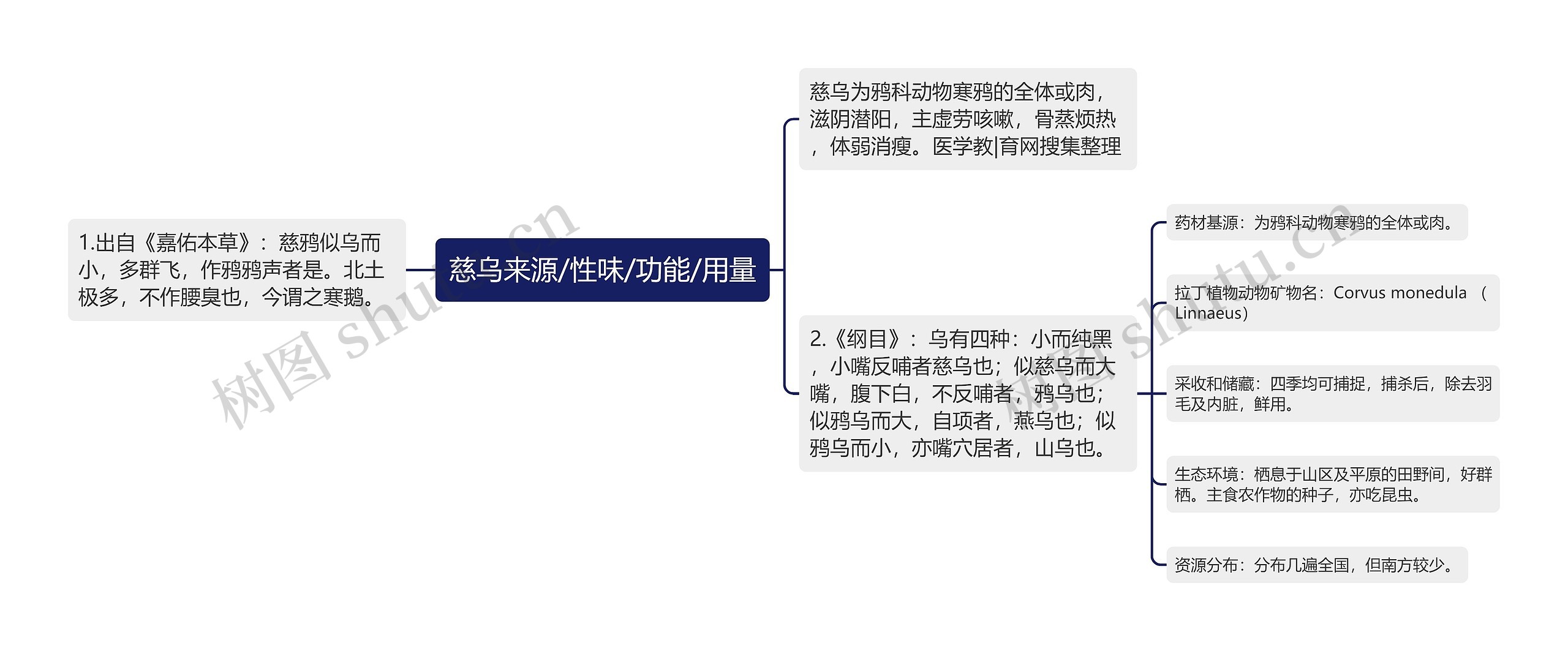 慈乌来源/性味/功能/用量思维导图