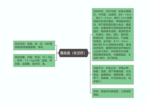 墨鱼盖（收涩药）