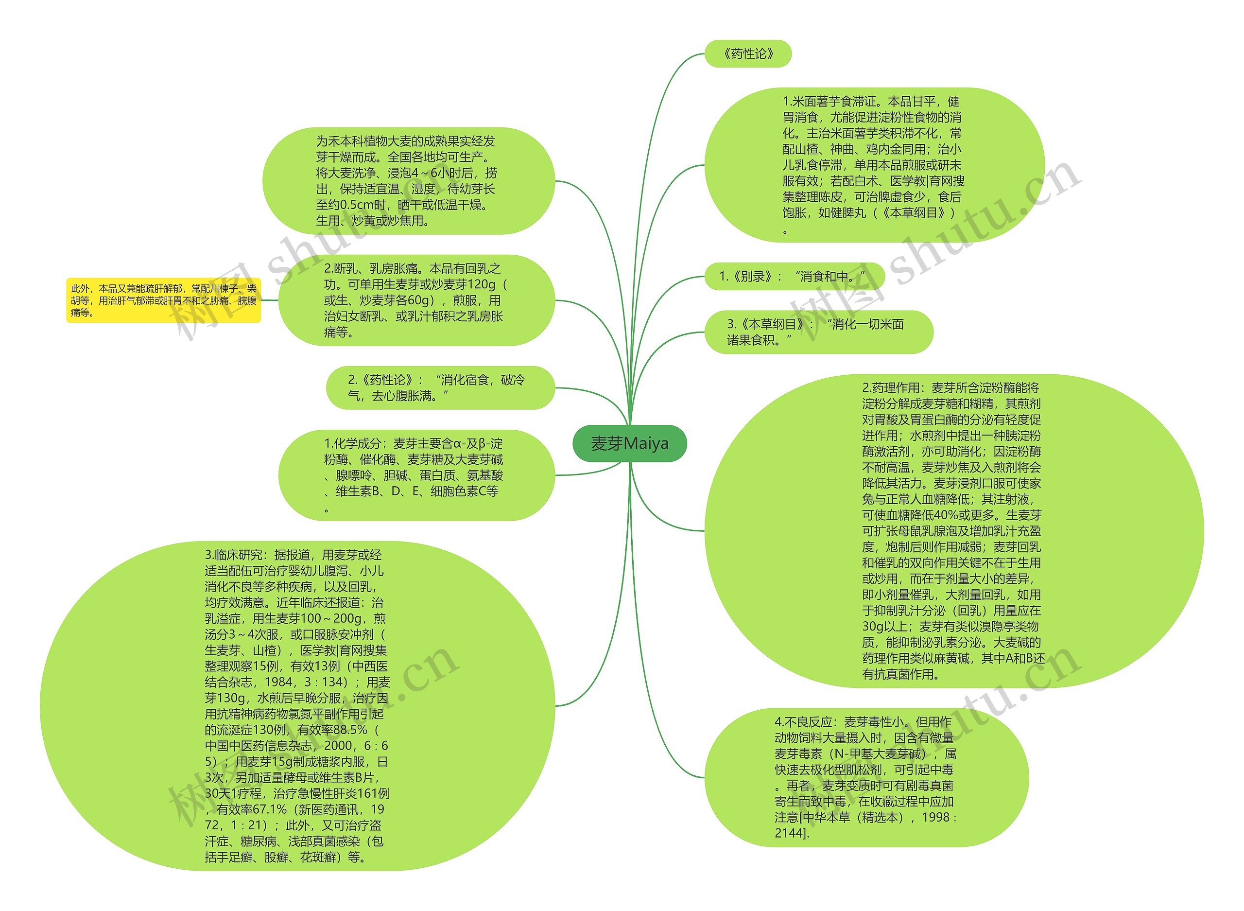 麦芽Maiya思维导图