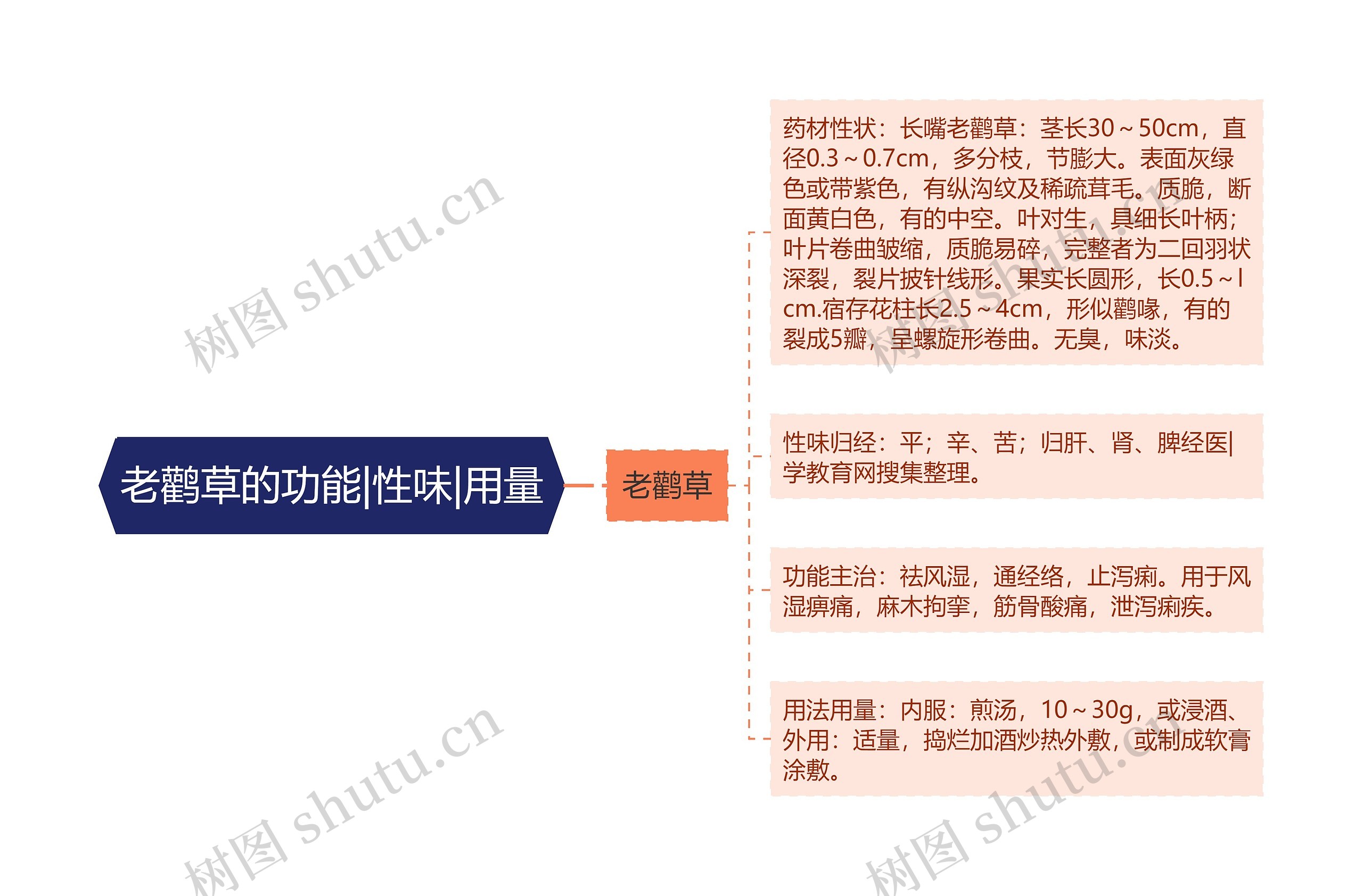 老鹳草的功能|性味|用量思维导图