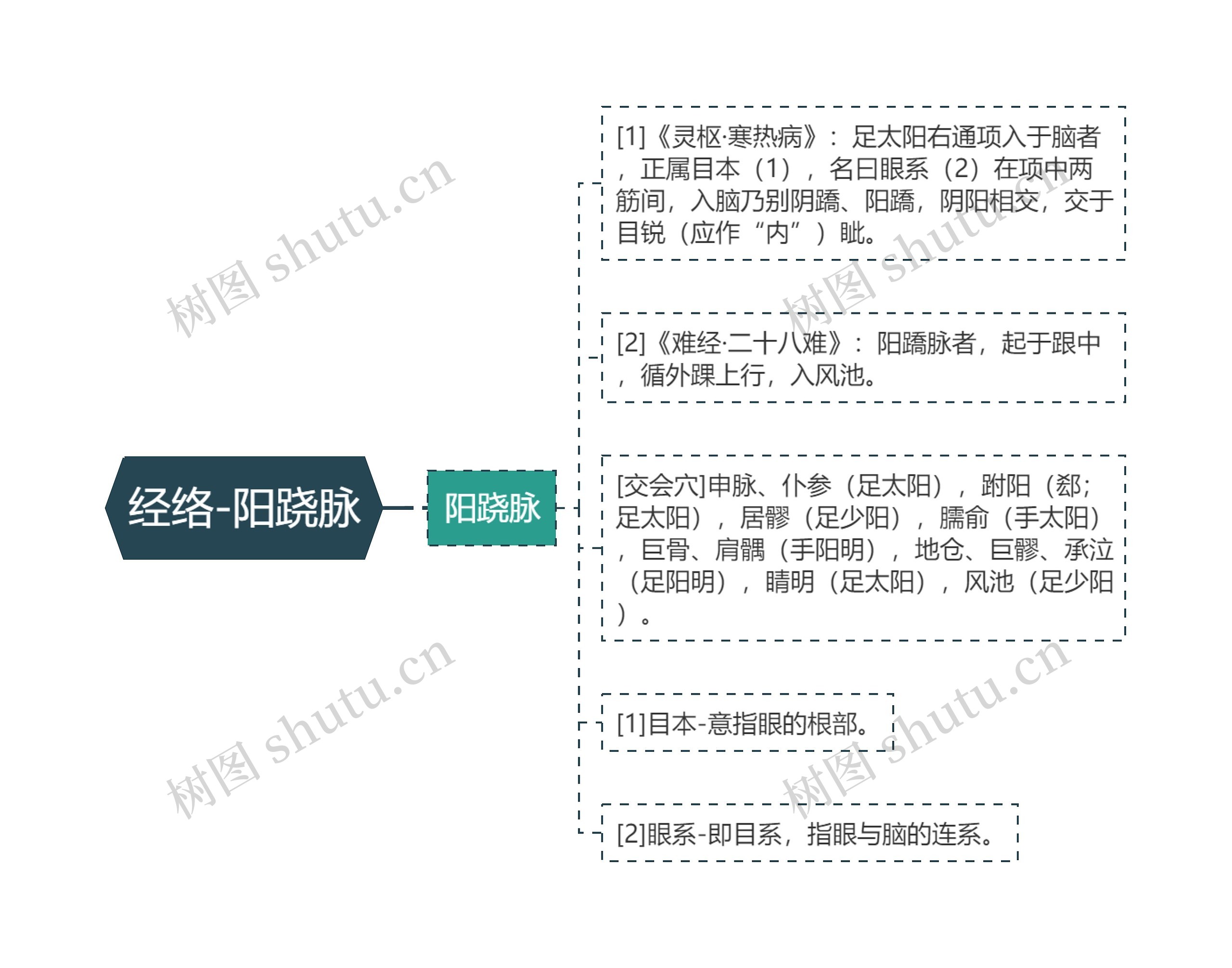 经络-阳跷脉思维导图