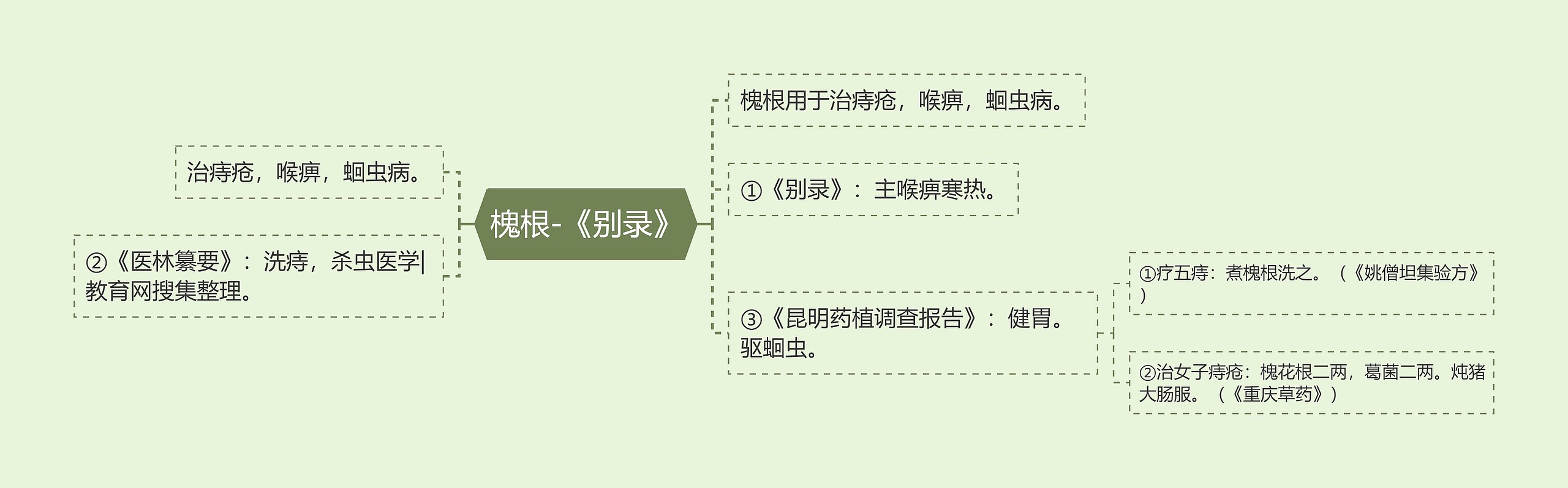 槐根-《别录》思维导图