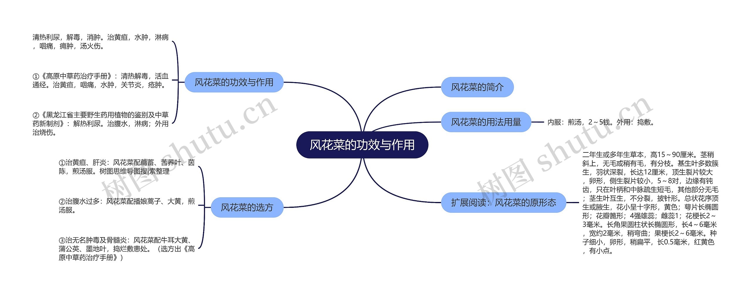 风花菜的功效与作用思维导图