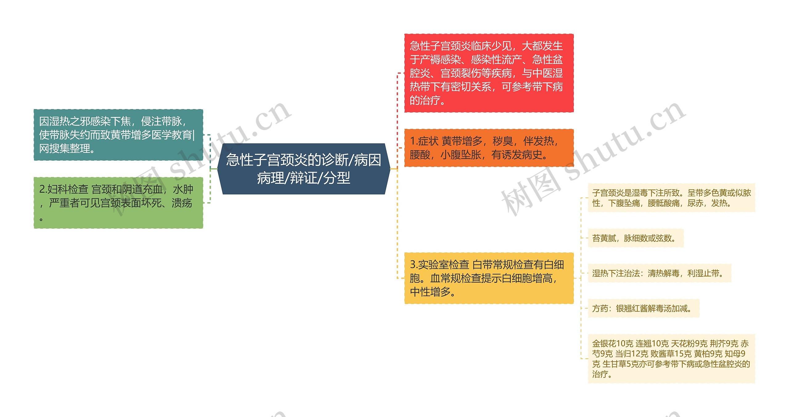 急性子宫颈炎的诊断/病因病理/辩证/分型思维导图