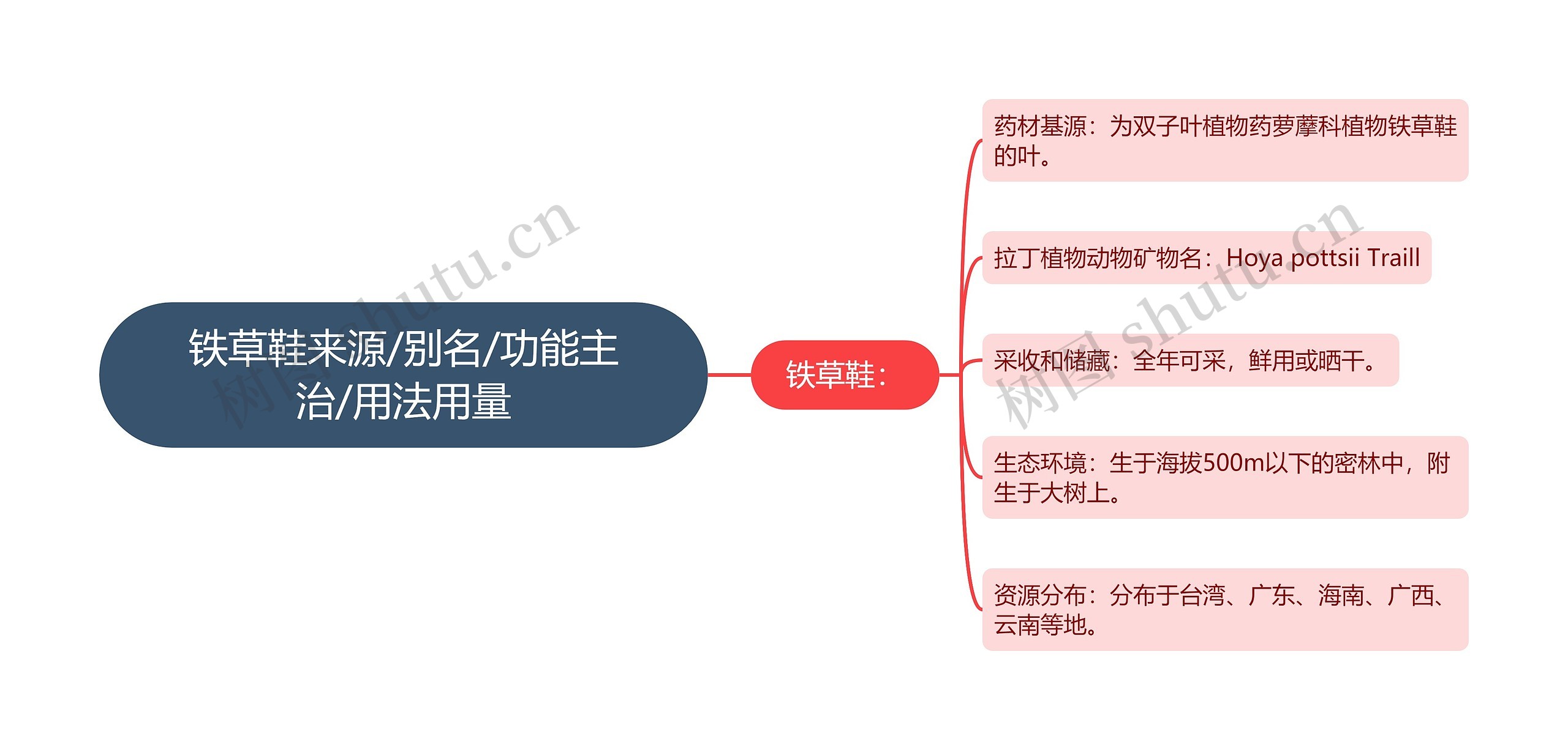 铁草鞋来源/别名/功能主治/用法用量