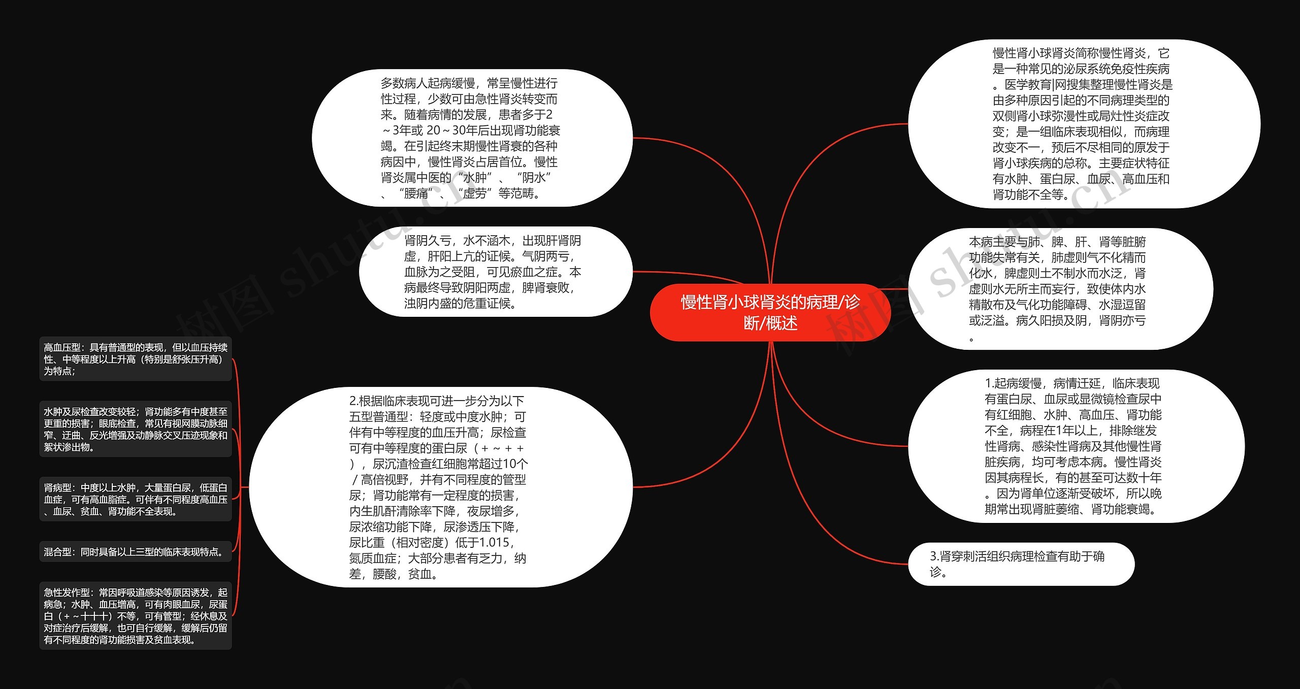 慢性肾小球肾炎的病理/诊断/概述