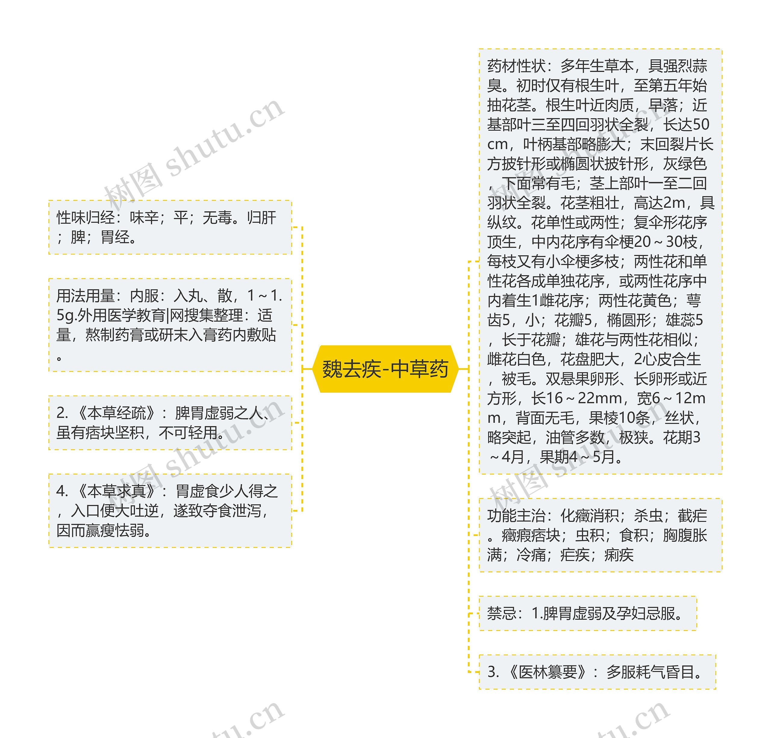 魏去疾-中草药 魏去疾-中草药