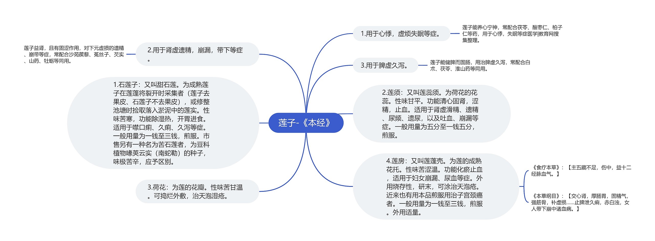 莲子-《本经》思维导图