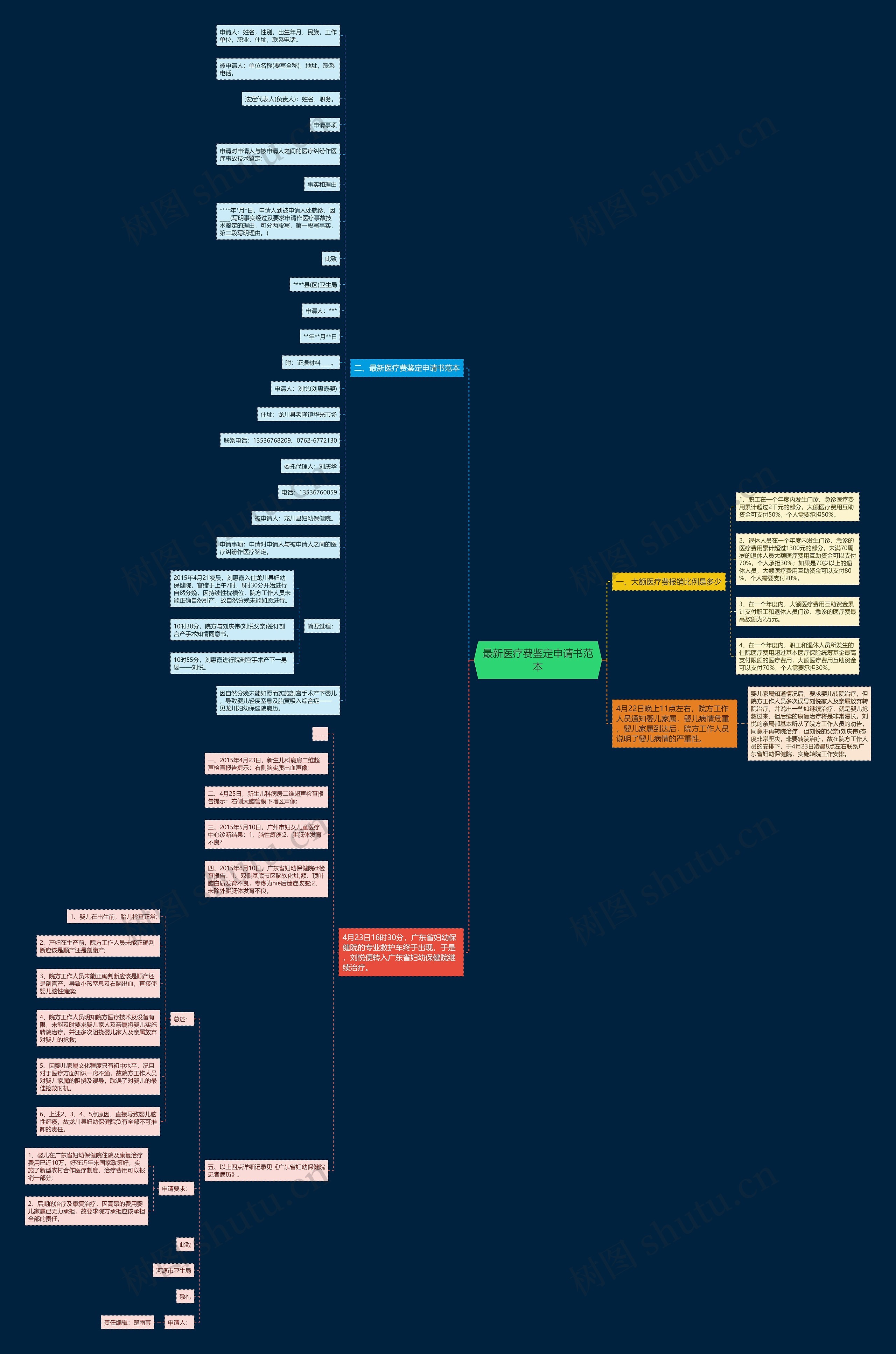 最新医疗费鉴定申请书范本思维导图