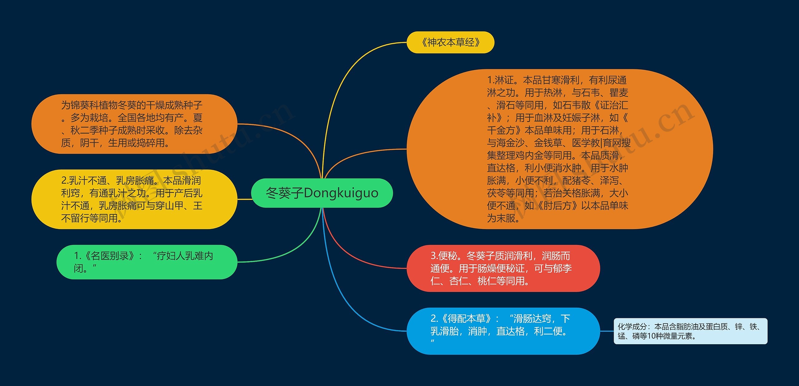 冬葵子Dongkuiguo思维导图