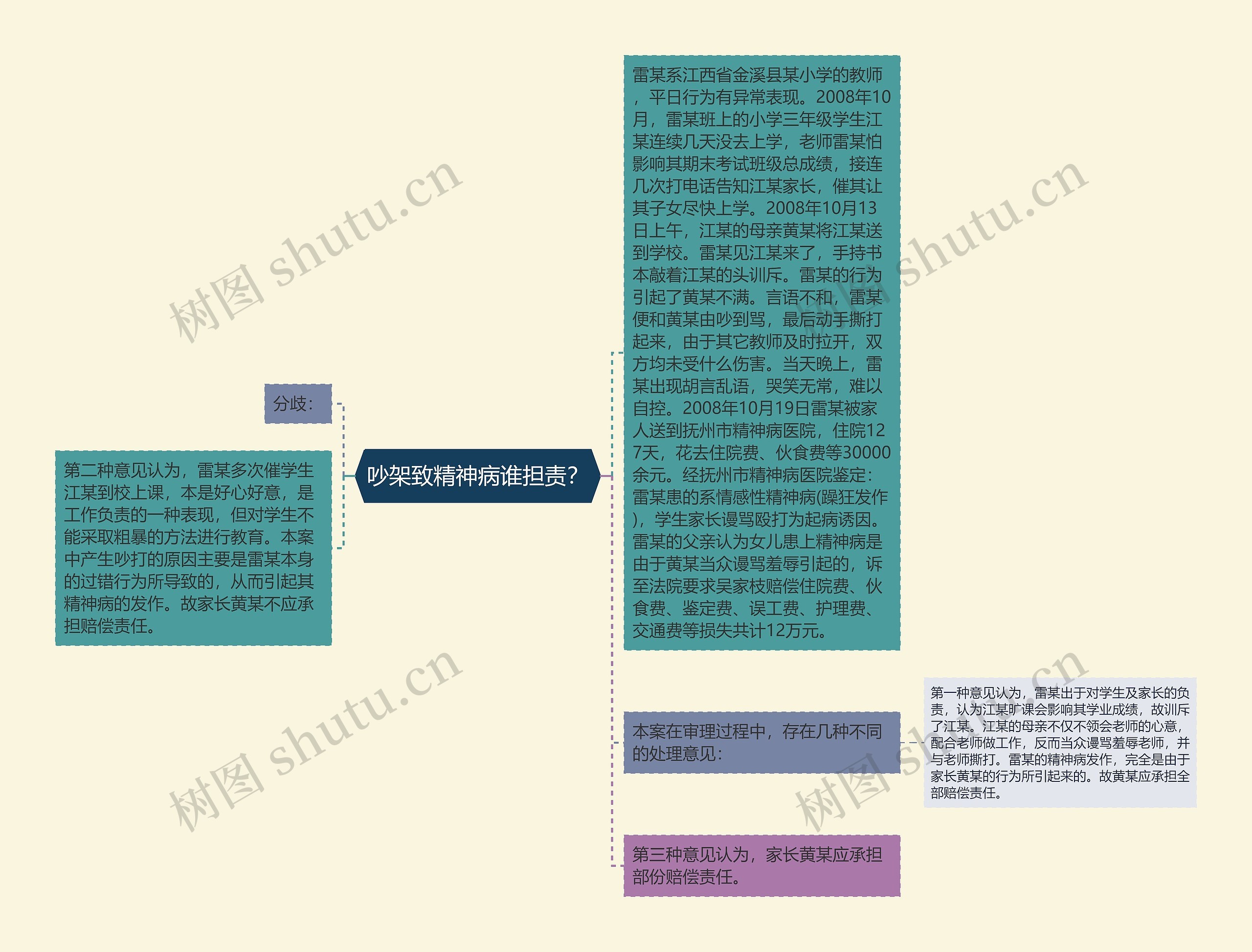 吵架致精神病谁担责？思维导图