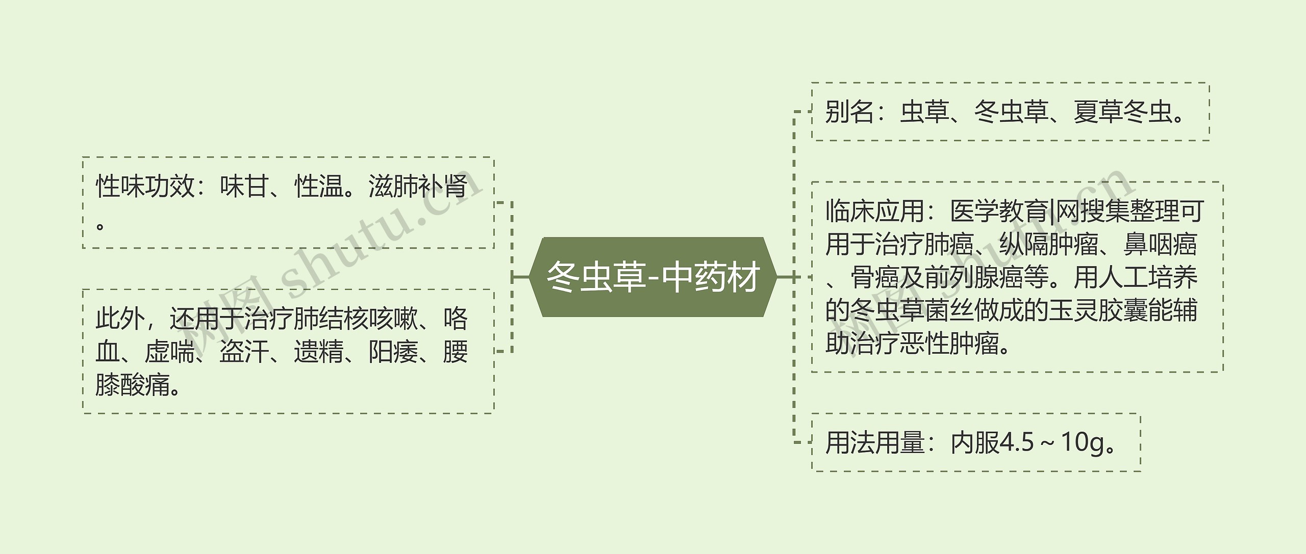 冬虫草-中药材 冬虫草-中药材