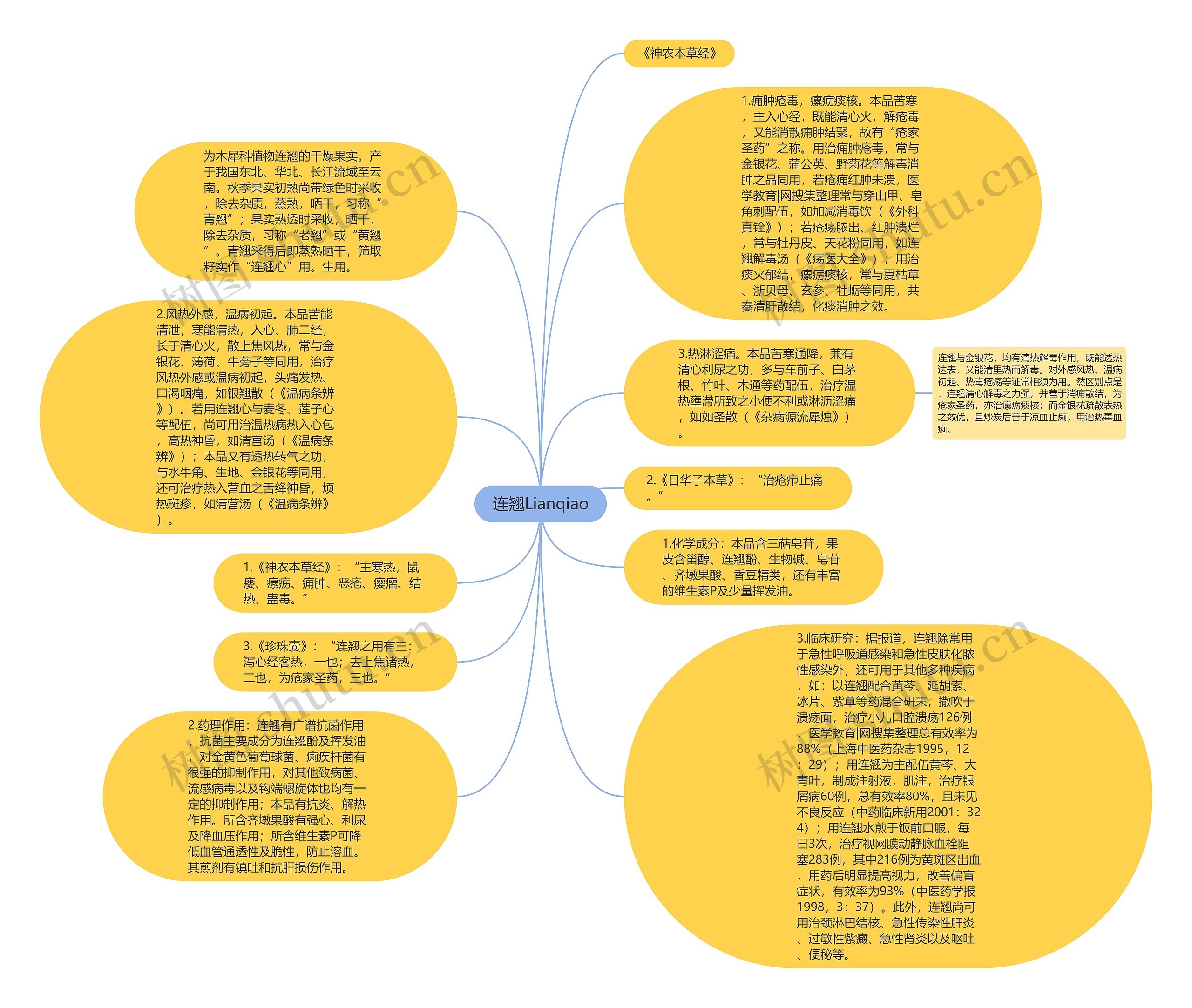 连翘Lianqiao思维导图