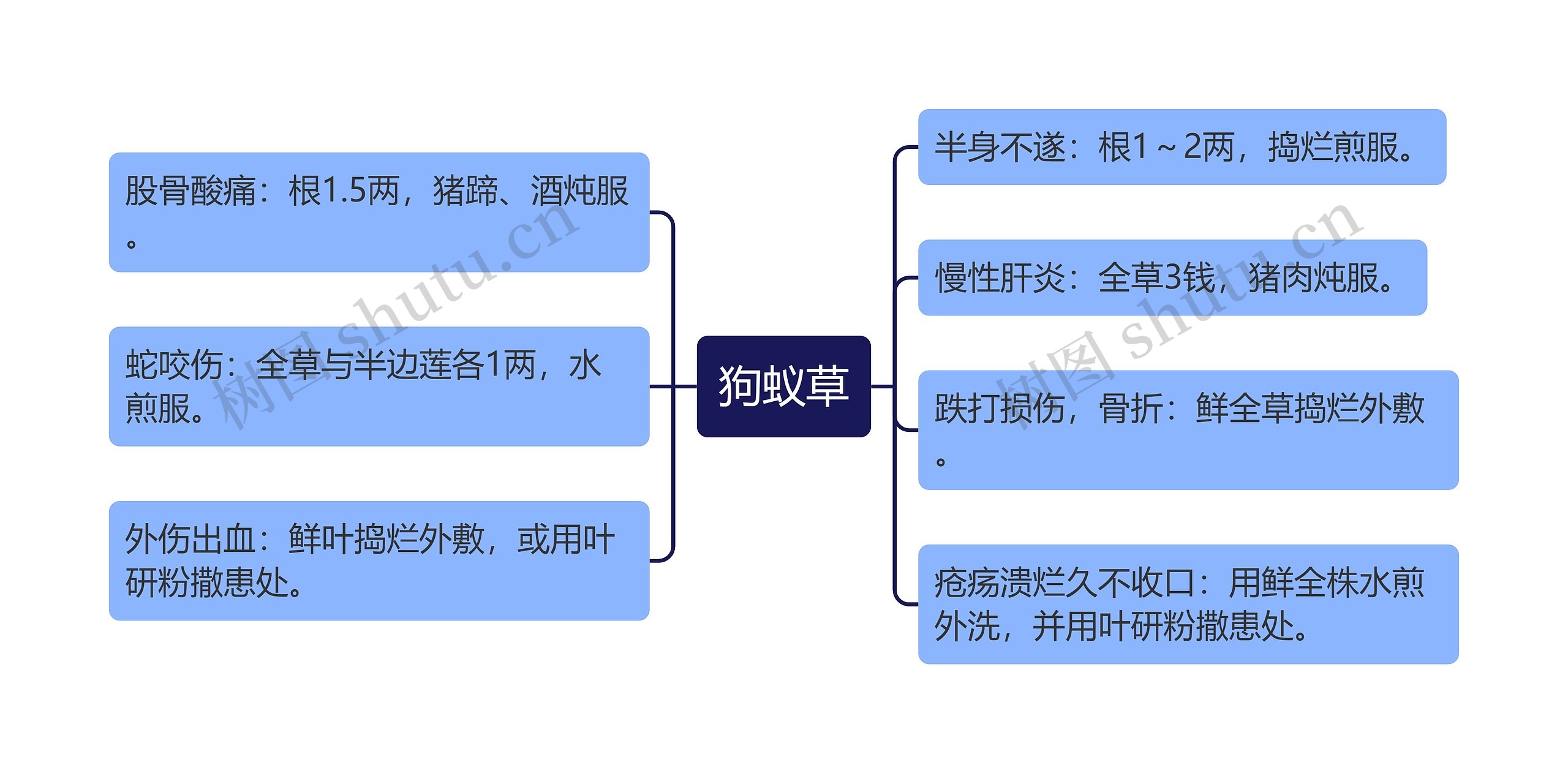 狗蚁草思维导图