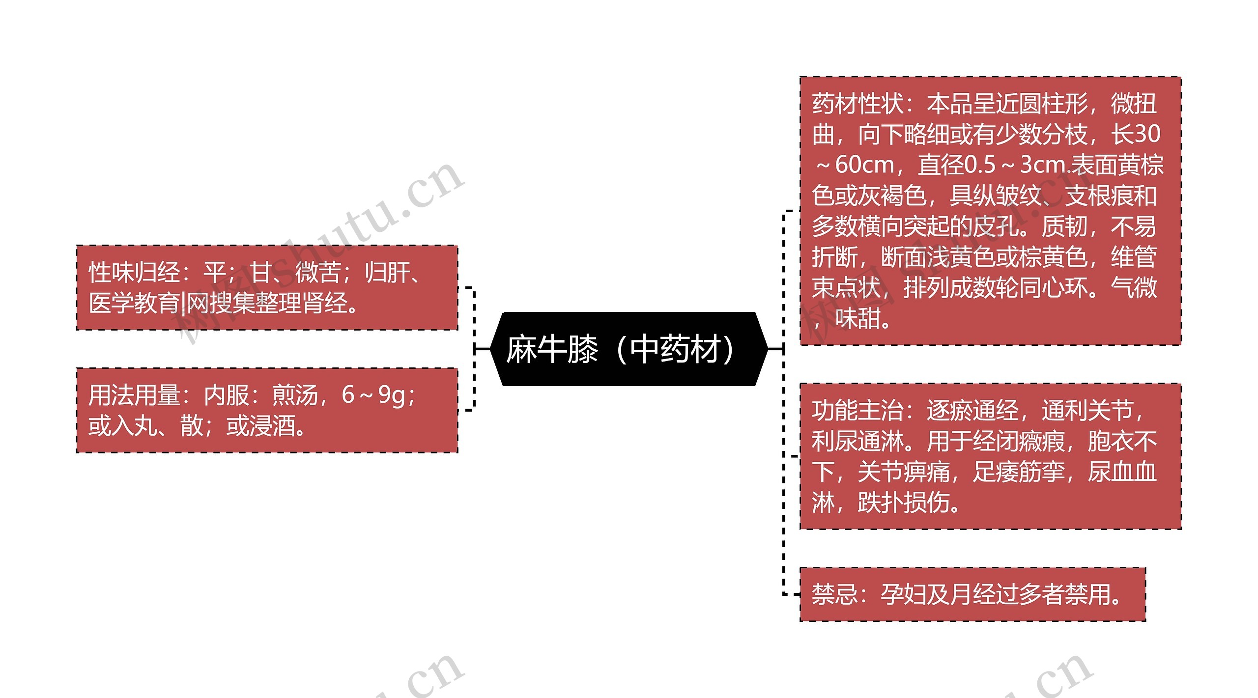 麻牛膝(中药材) 麻牛膝(中药材)