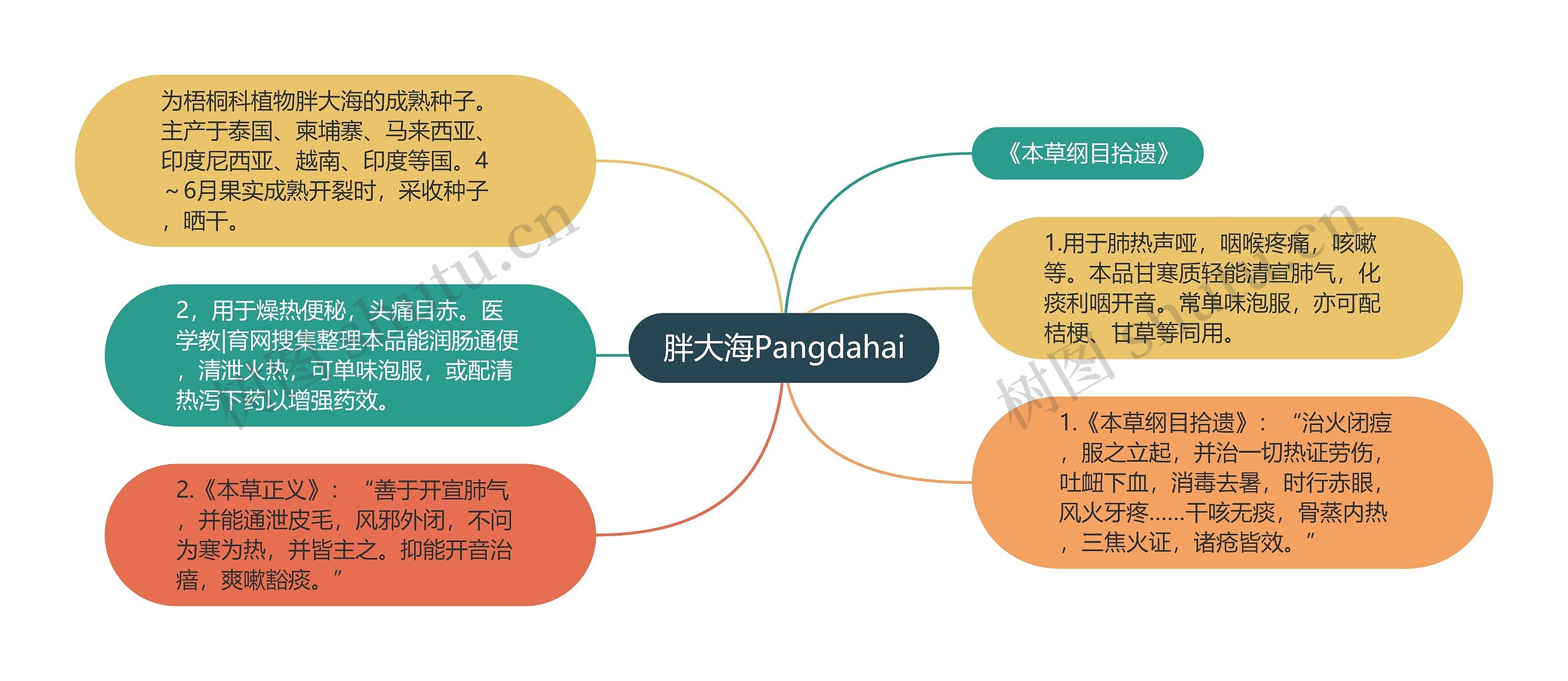 胖大海Pangdahai思维导图