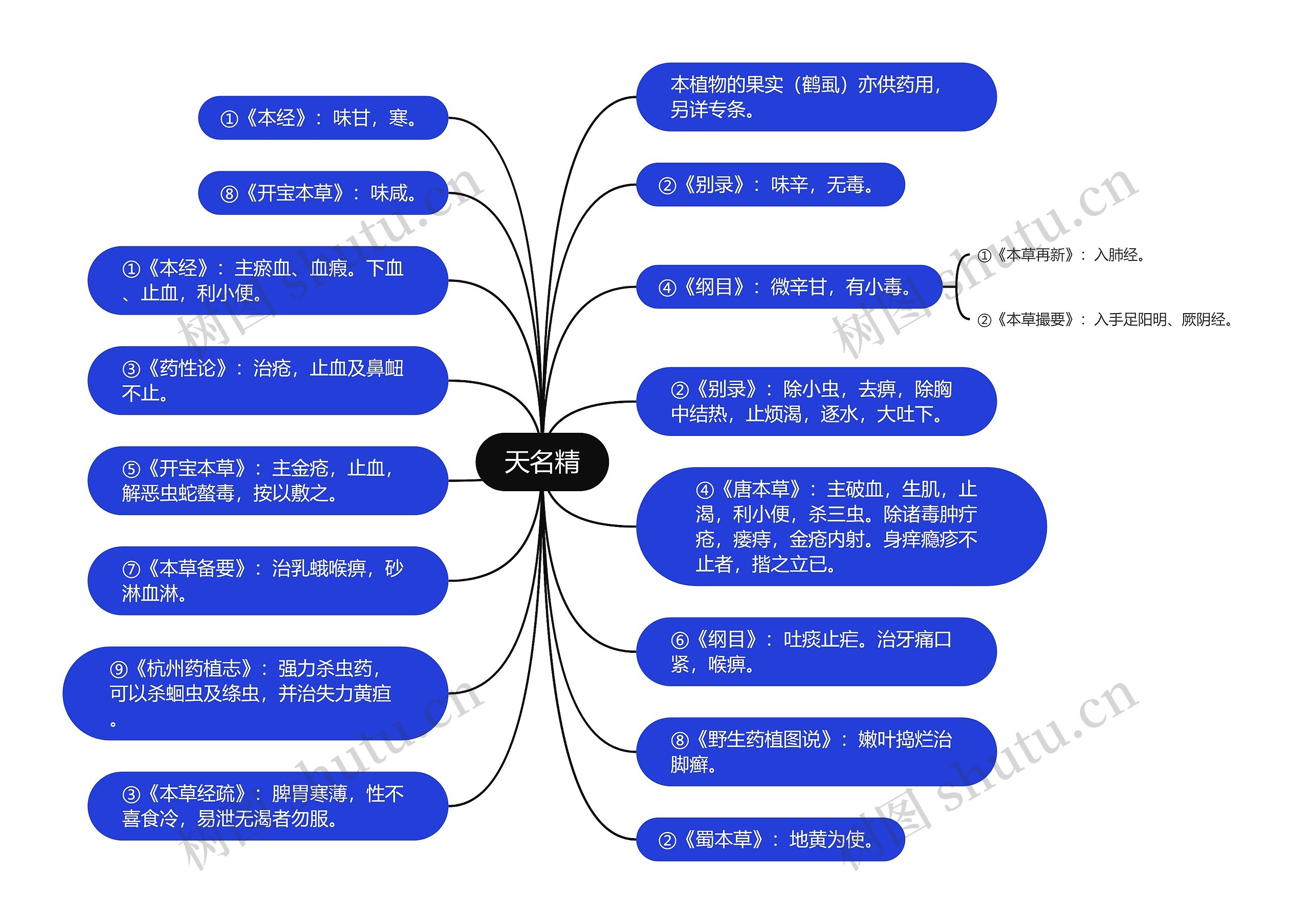 天名精思维导图