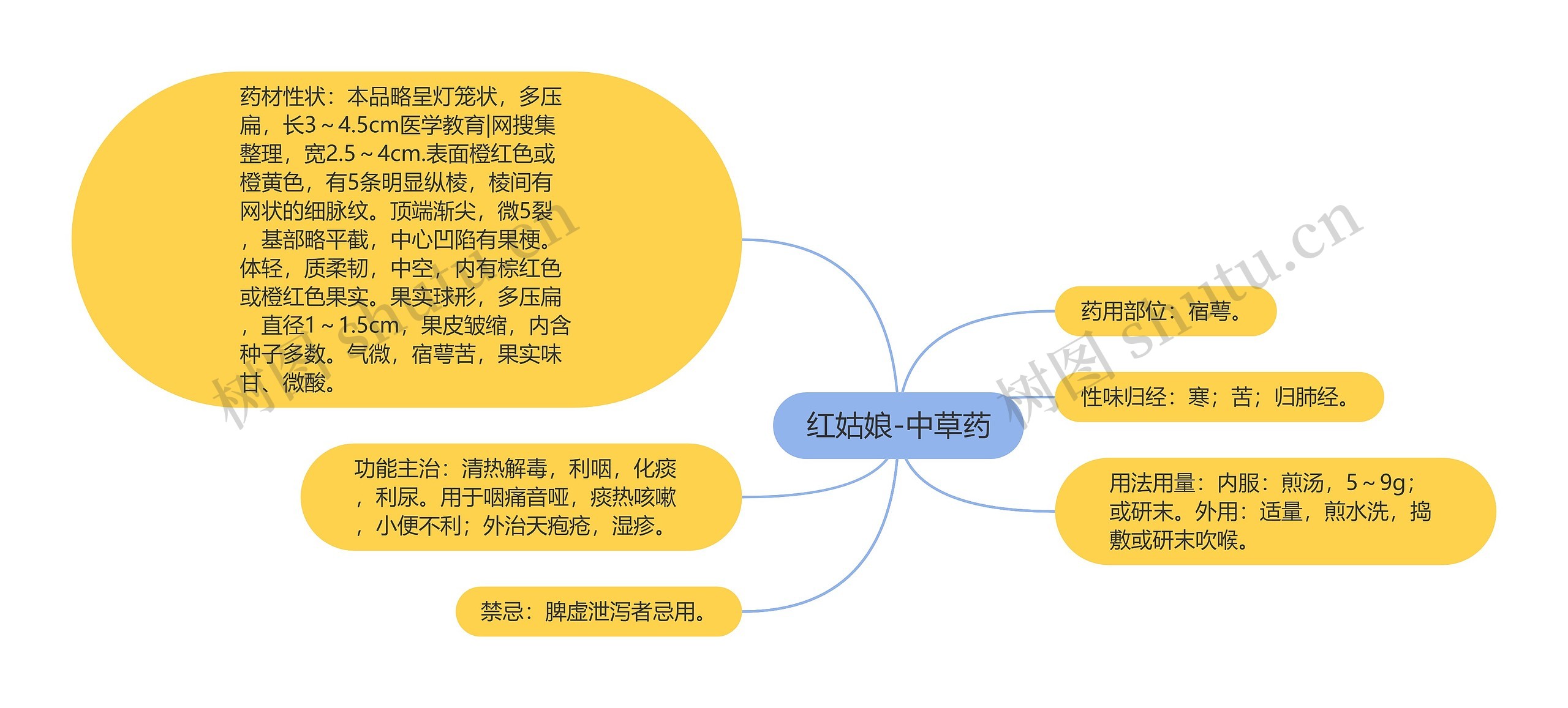 红姑娘-中草药思维导图