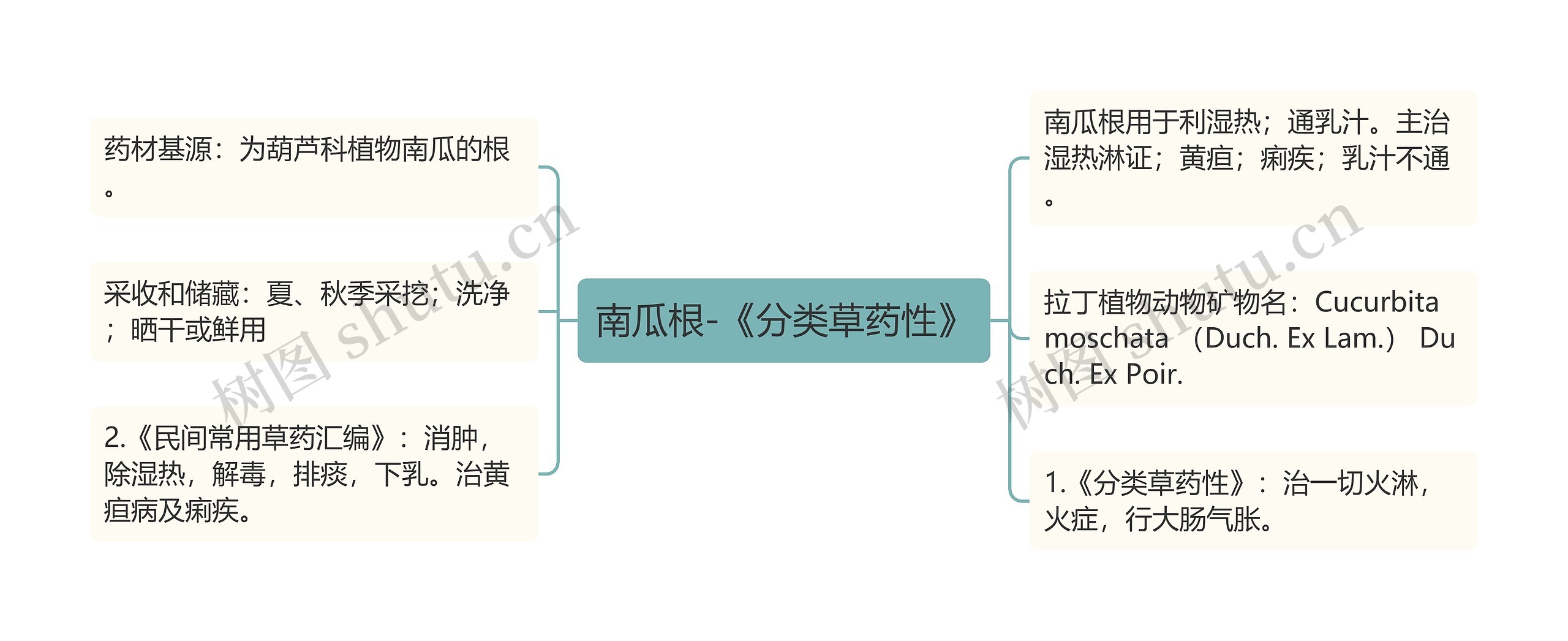 南瓜根-《分类草药性》思维导图