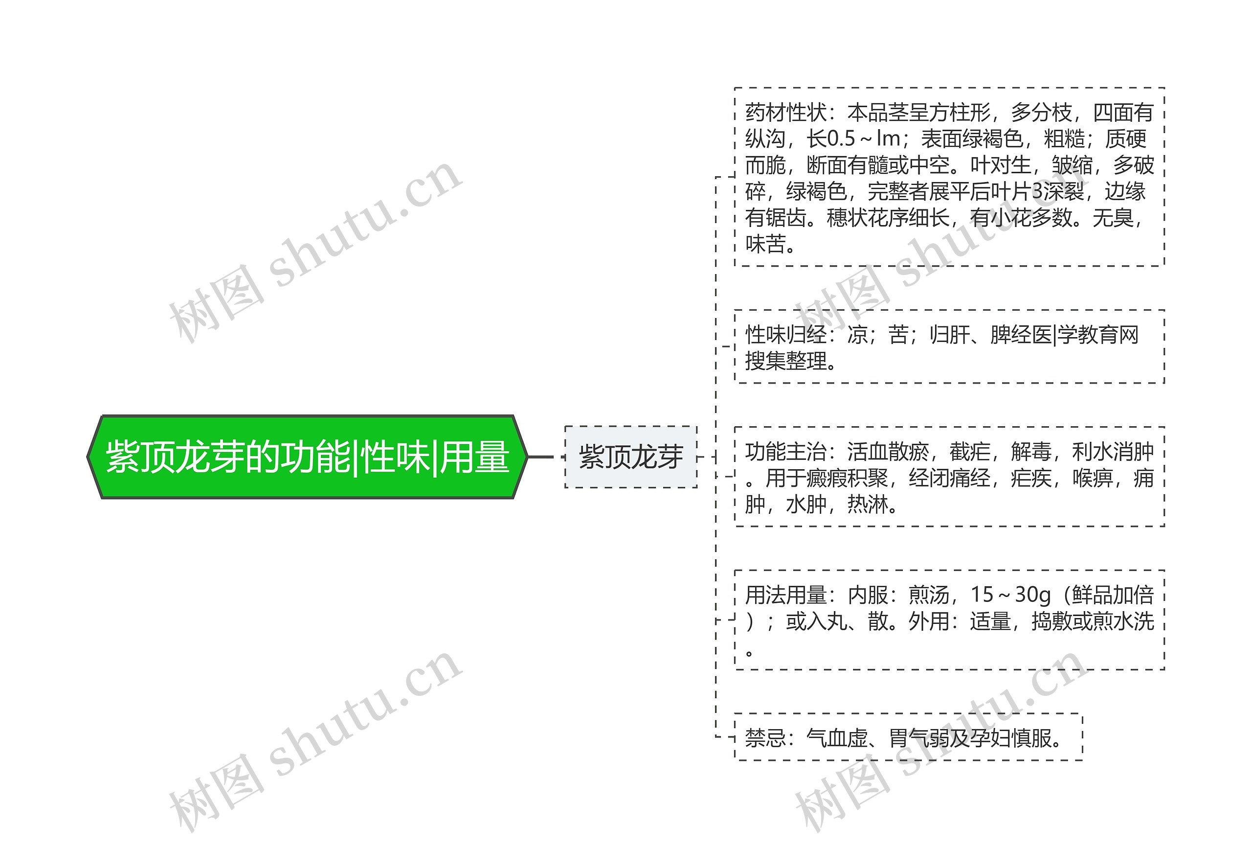 紫顶龙芽的功能|性味|用量