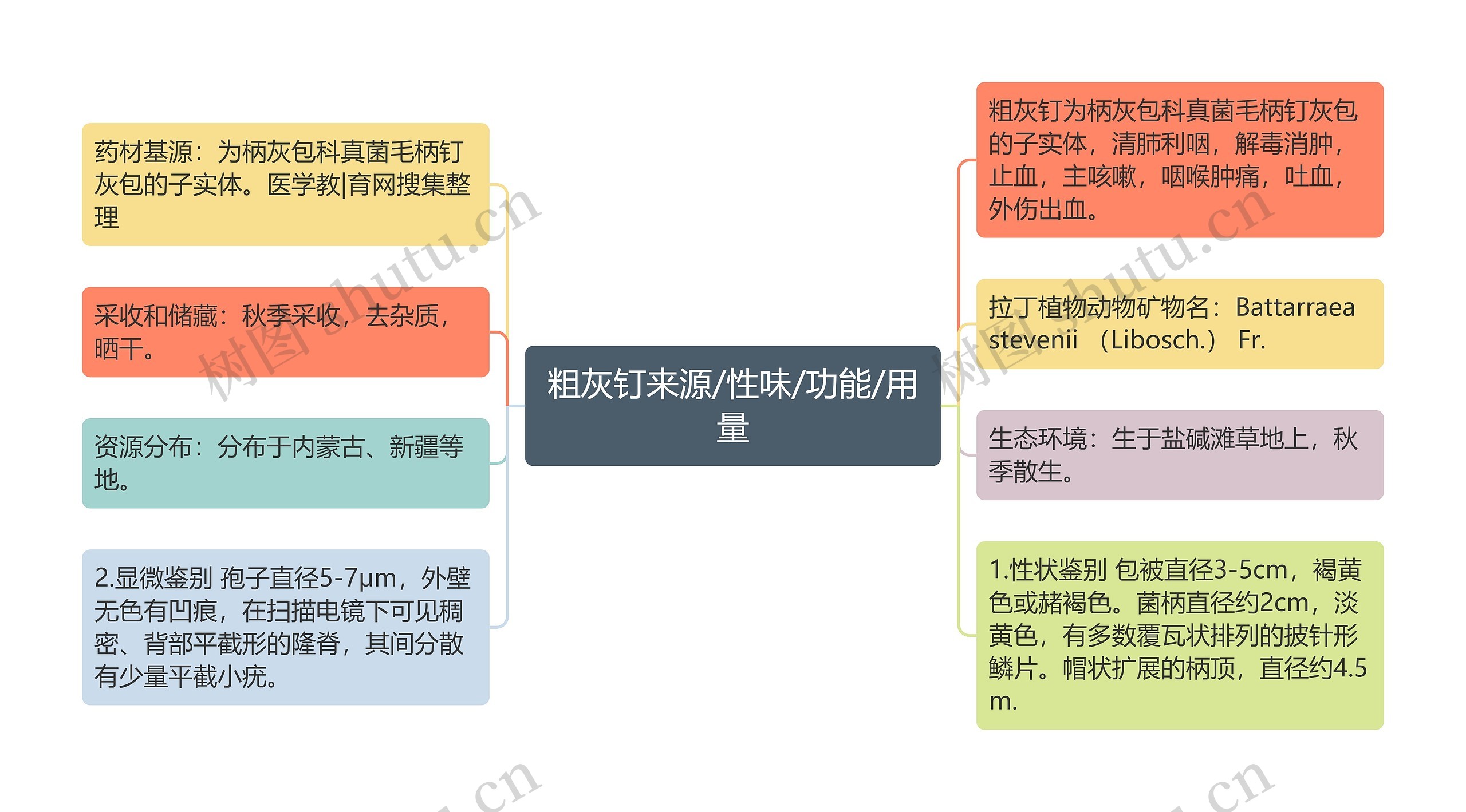 粗灰钉来源/性味/功能/用量思维导图