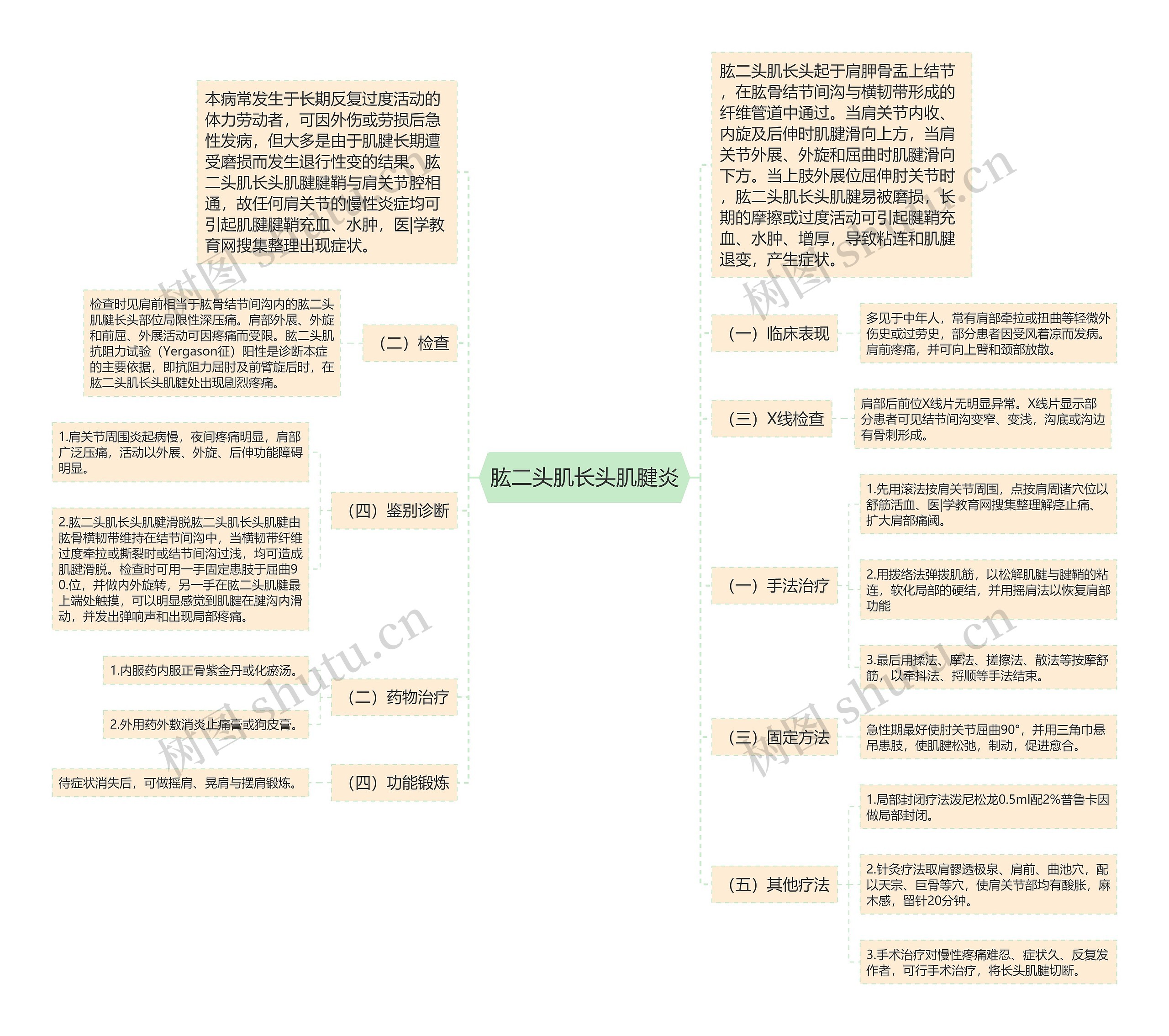 肱二头肌长头肌腱炎思维导图