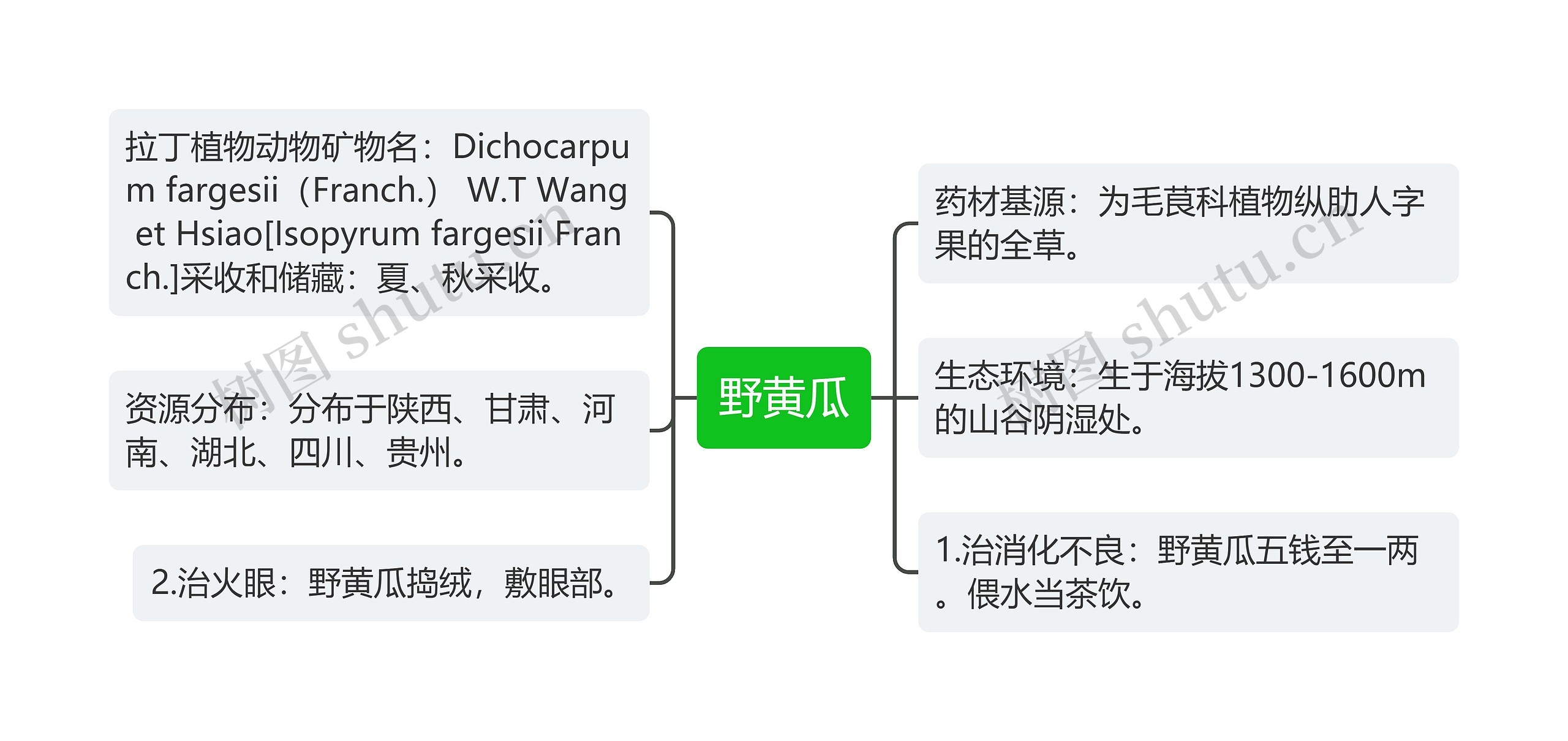 野黄瓜思维导图