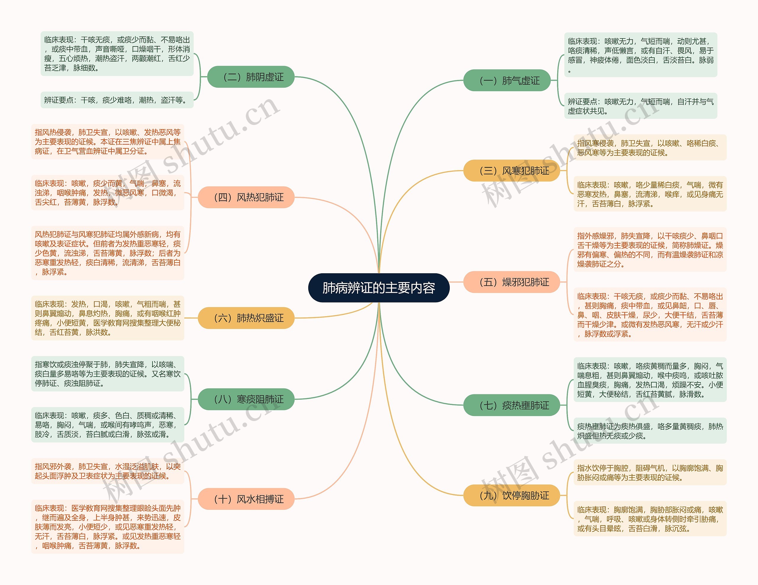 肺病辨证的主要内容思维导图