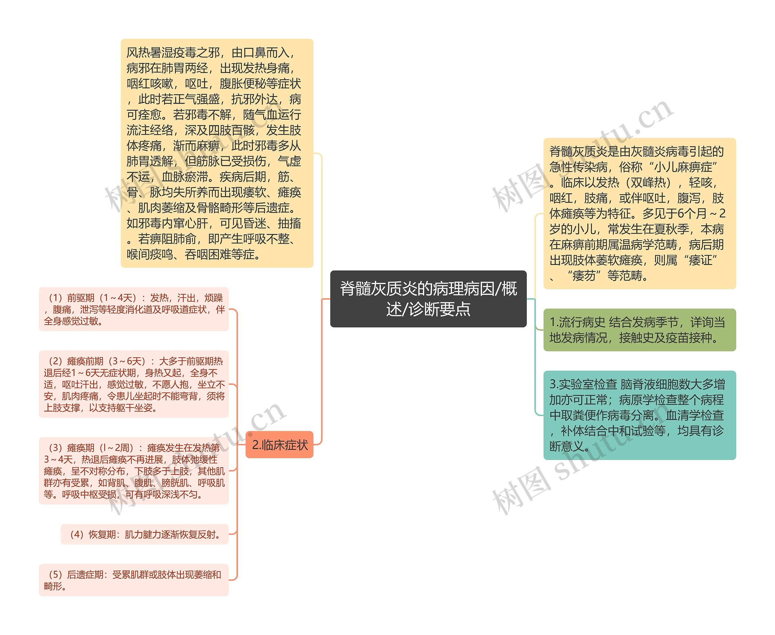 脊髓灰质炎的病理病因/概述/诊断要点思维导图