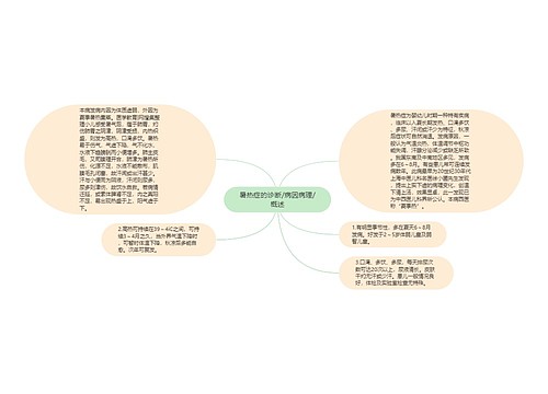 暑热症的诊断/病因病理/概述